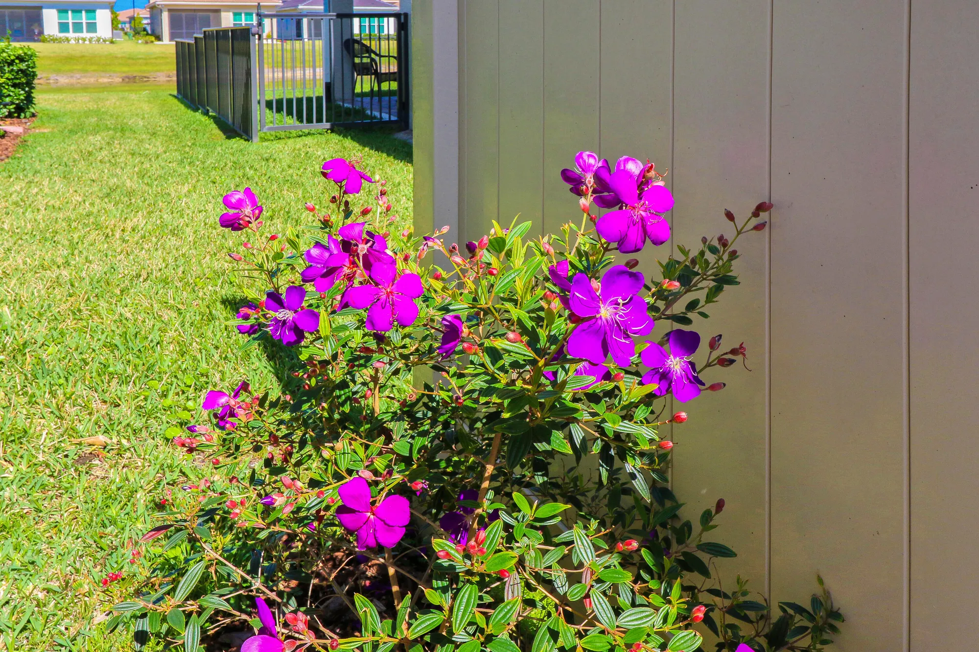 Property Slideshow image 5 of 70 | 24034 sw firenze way, Port Saint Lucie, FL, 34986