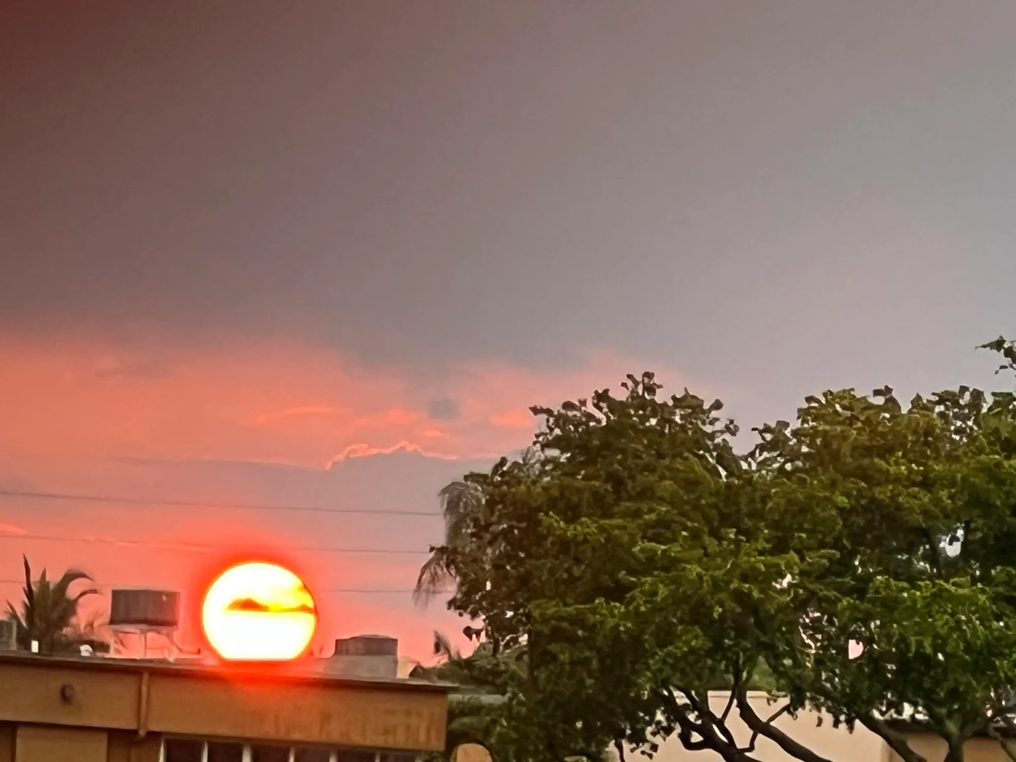 Property Slideshow image 29 of 52 | 900 flanders, Delray Beach, FL, 33484