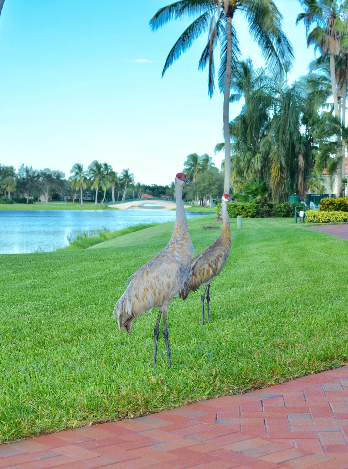 Property Slideshow image 51 of 67 | 2603 muskegon way, West Palm Beach, FL, 33411