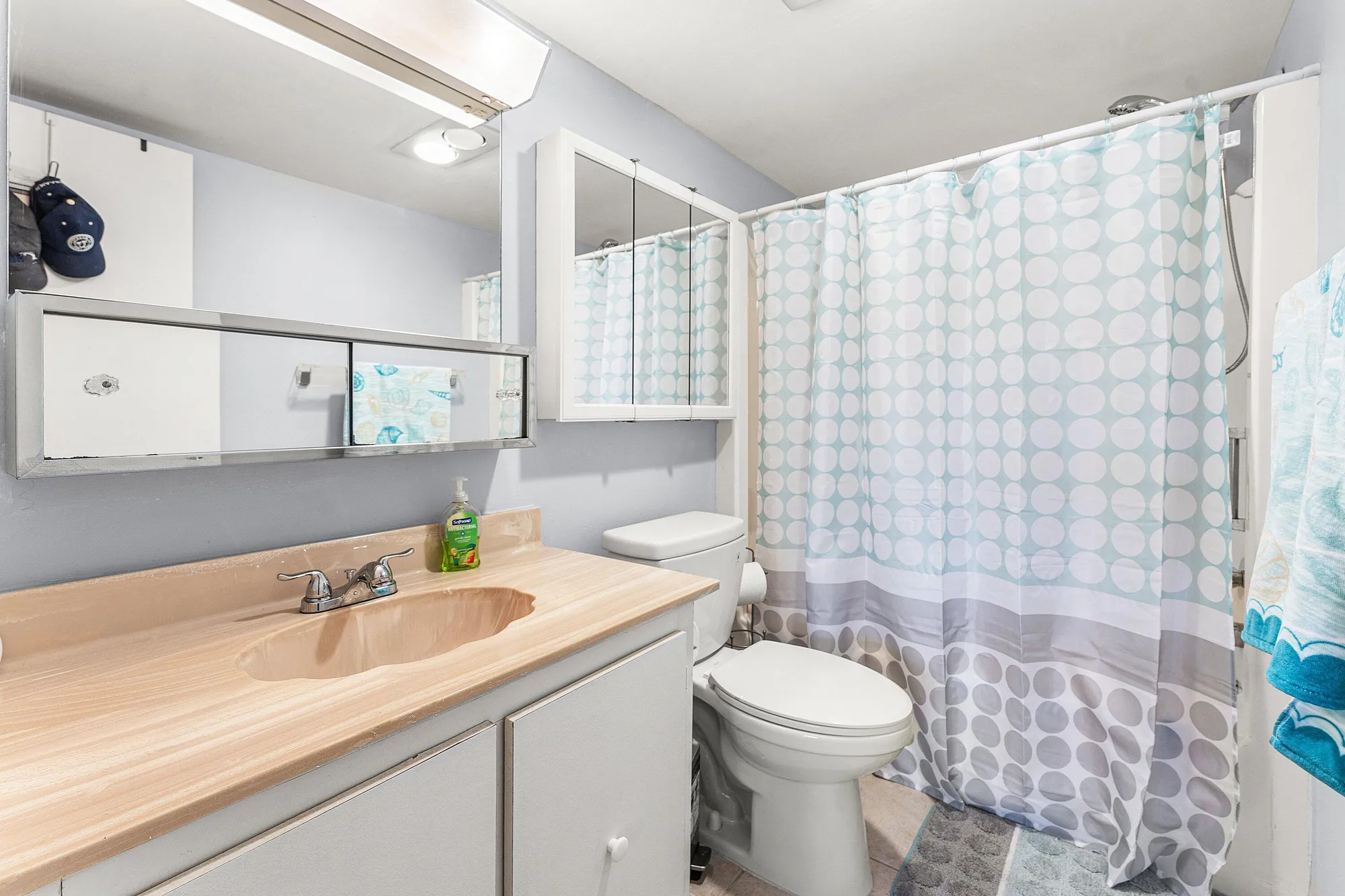 Property Slideshow image 18 of 44 | 215 lake dora dr, West Palm Beach, FL, 33411