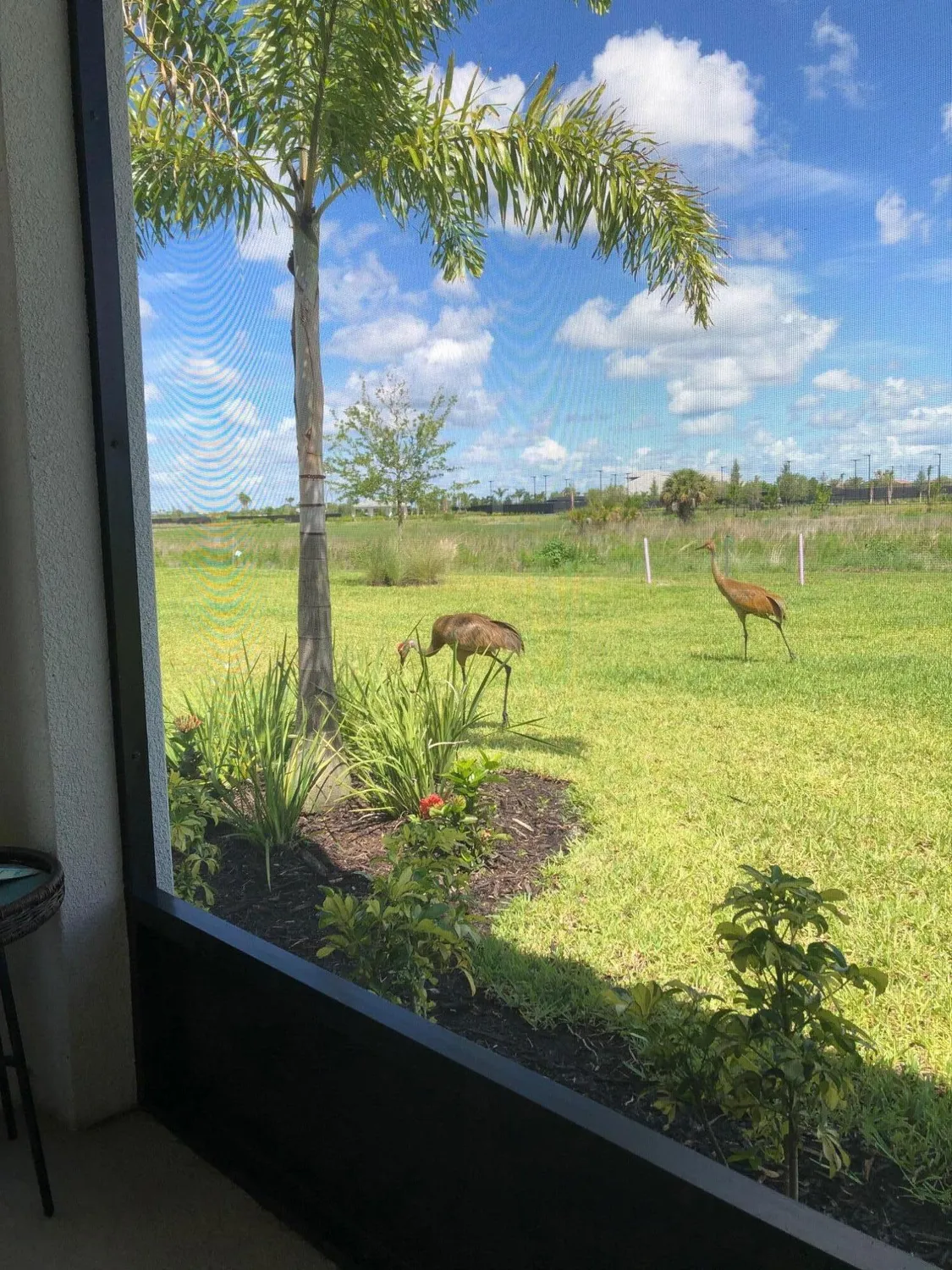 Property Slideshow image 33 of 34 | 12861 sw ambra st, Port Saint Lucie, FL, 34987