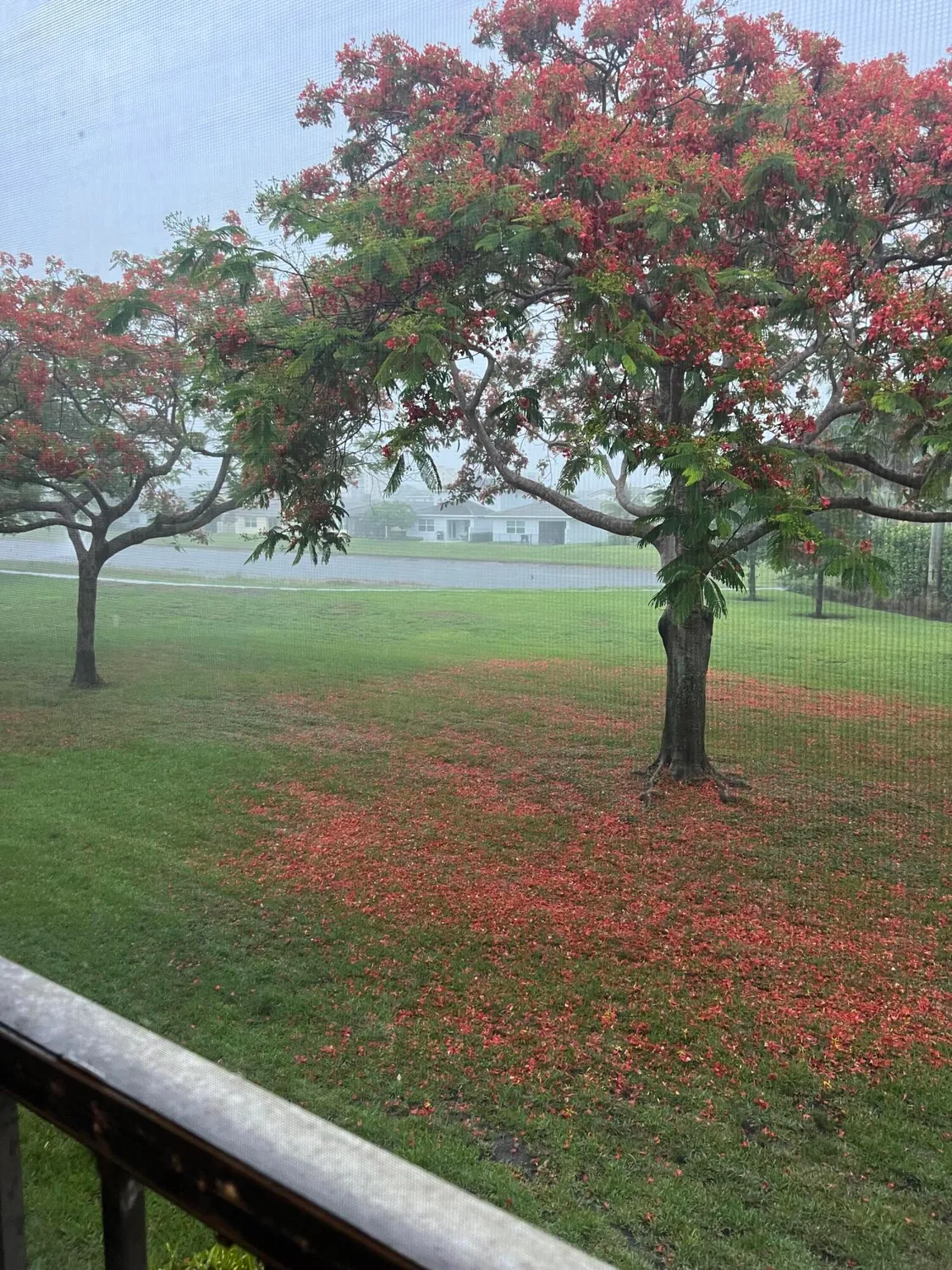 Property Slideshow image 27 of 48 | 14701 cumberland dr 2080, Delray Beach, FL, 33446