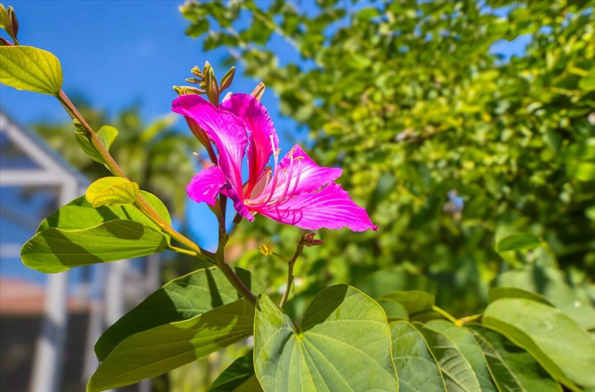 Property Slideshow image 51 of 113 | 11098 sw wyndham way, Port Saint Lucie, FL, 34987