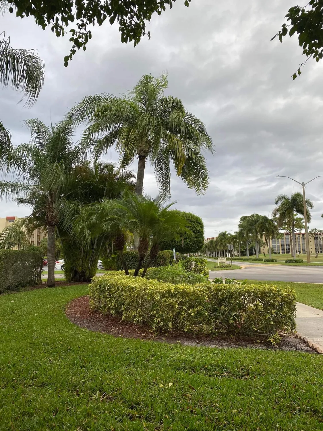 Property Slideshow image 29 of 45 | 3755 via poinciana apt 203, Lake Worth, FL, 33467