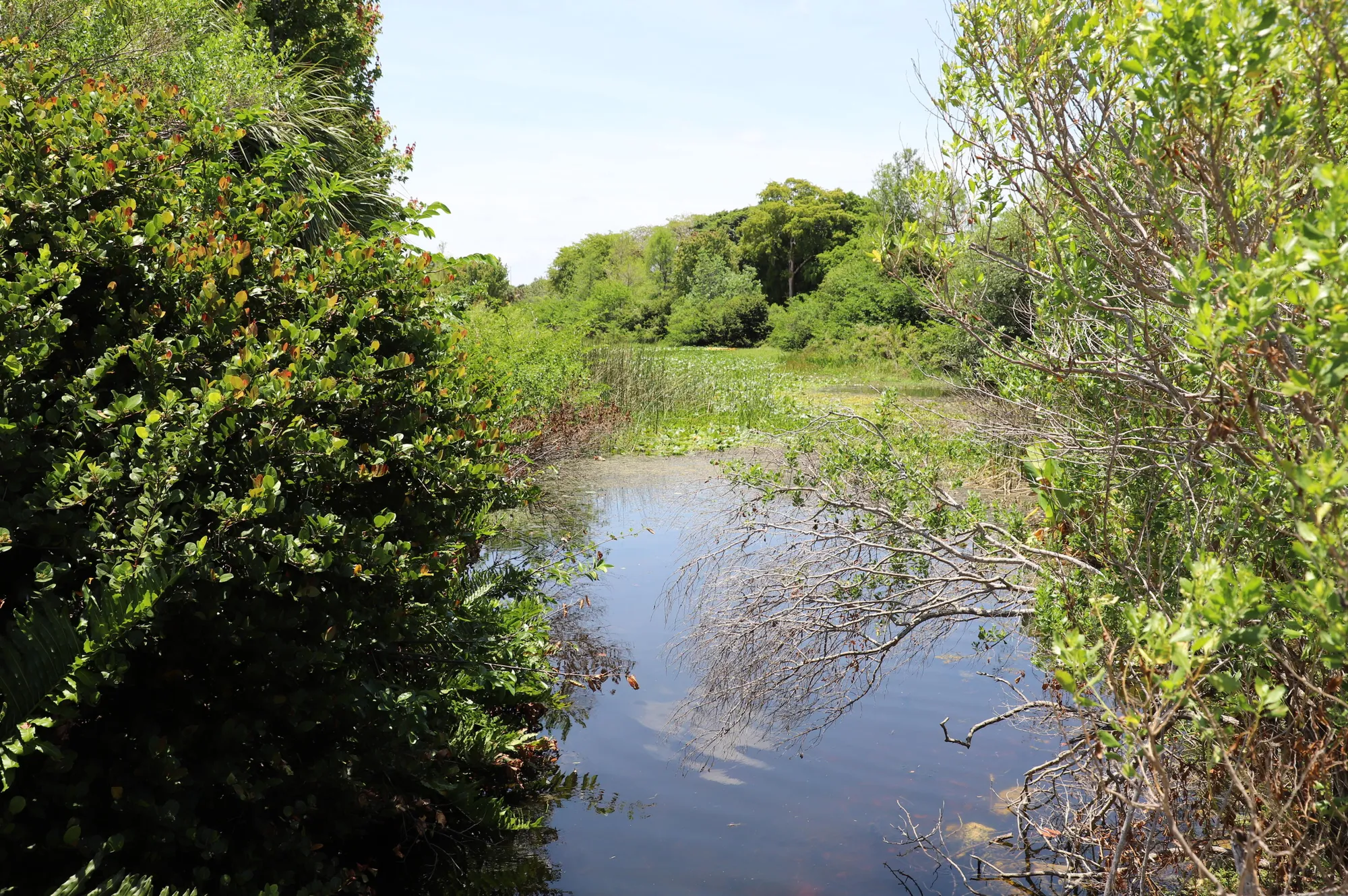 Property Slideshow image 44 of 45 | 521 sandpiper cir, Delray Beach, FL, 33445