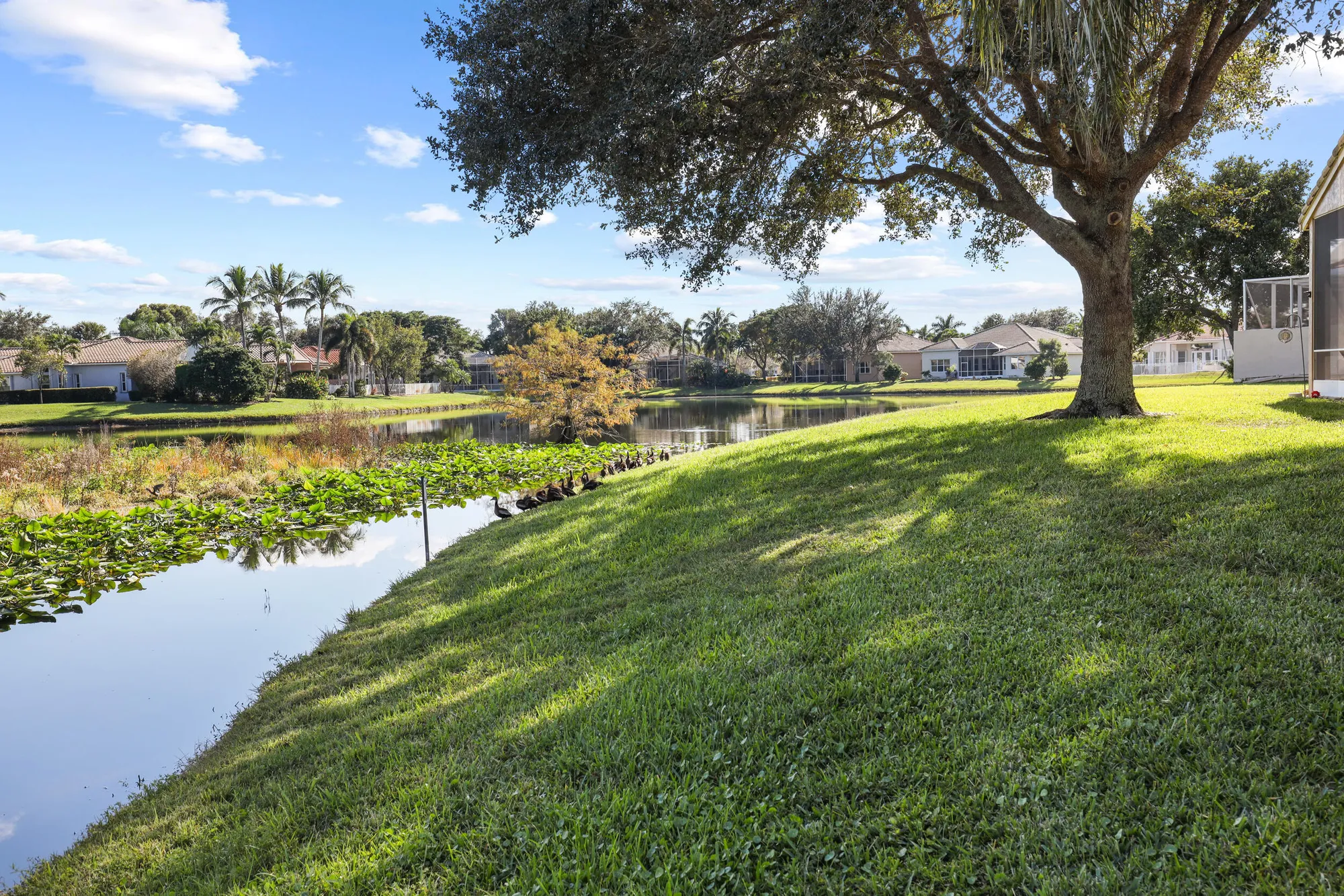 Property Slideshow image 36 of 60 | 6657 pavone st, Lake Worth, FL, 33467