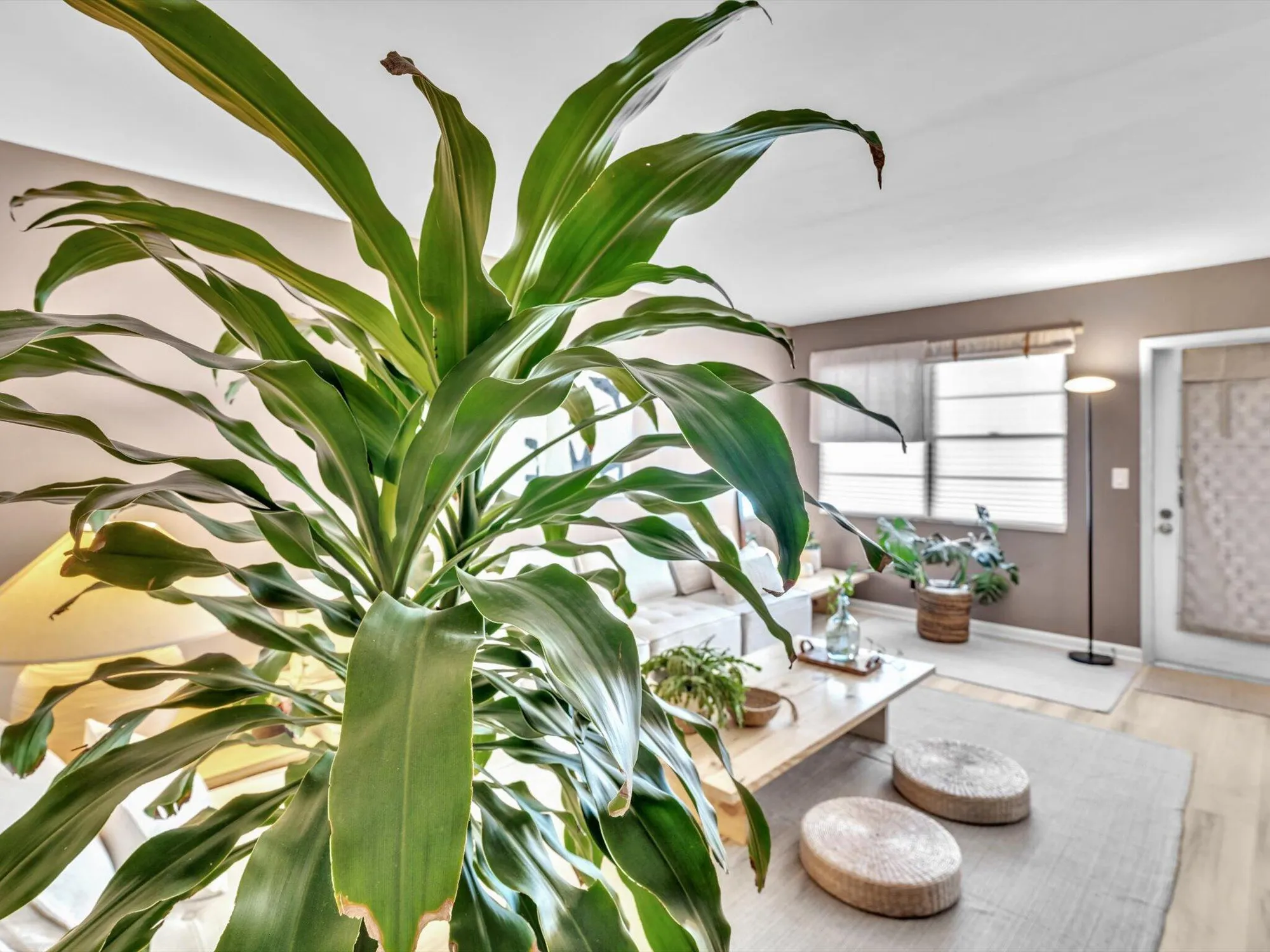 Property Slideshow image 19 of 68 | 3025 newport h h, Deerfield Beach, FL, 33442