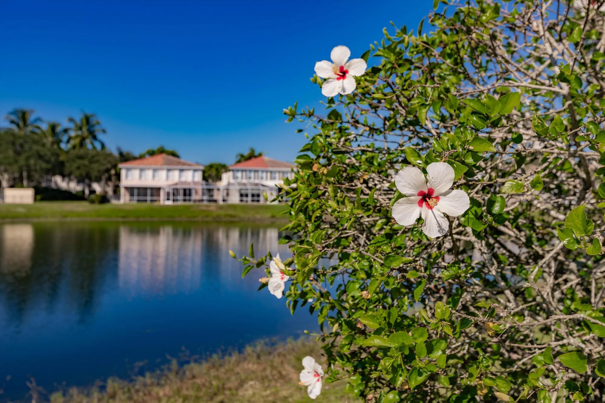 Property Slideshow image 33 of 41 | 2069 tarpon lake way, West Palm Beach, FL, 33411