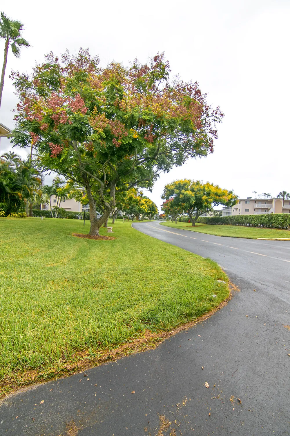 Property Slideshow image 18 of 34 | 2668 garden dr 108, Lake Worth, FL, 33461