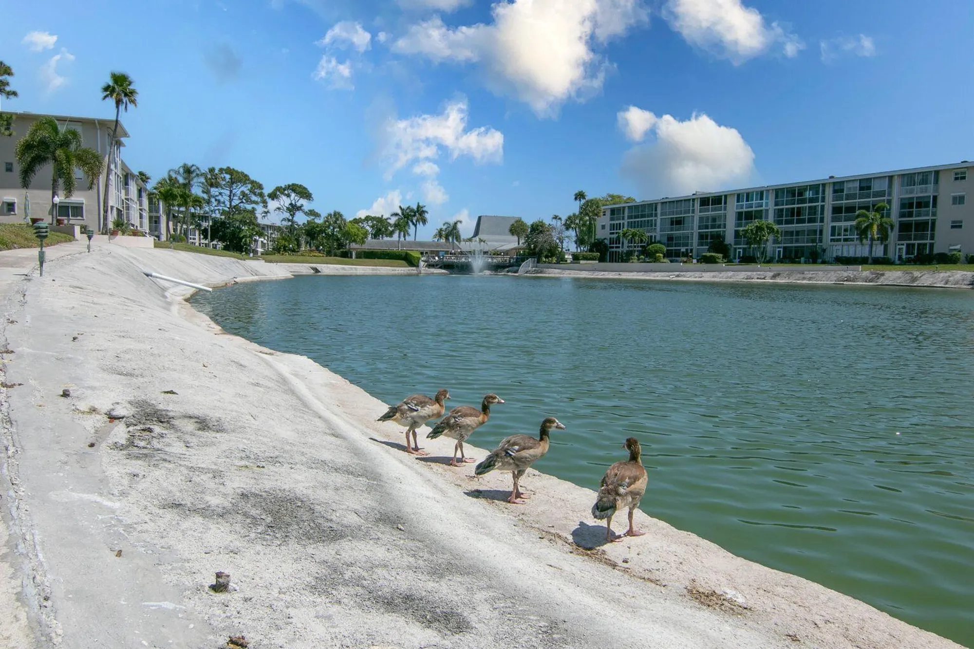 Property Slideshow image 17 of 34 | 2668 garden dr 108, Lake Worth, FL, 33461