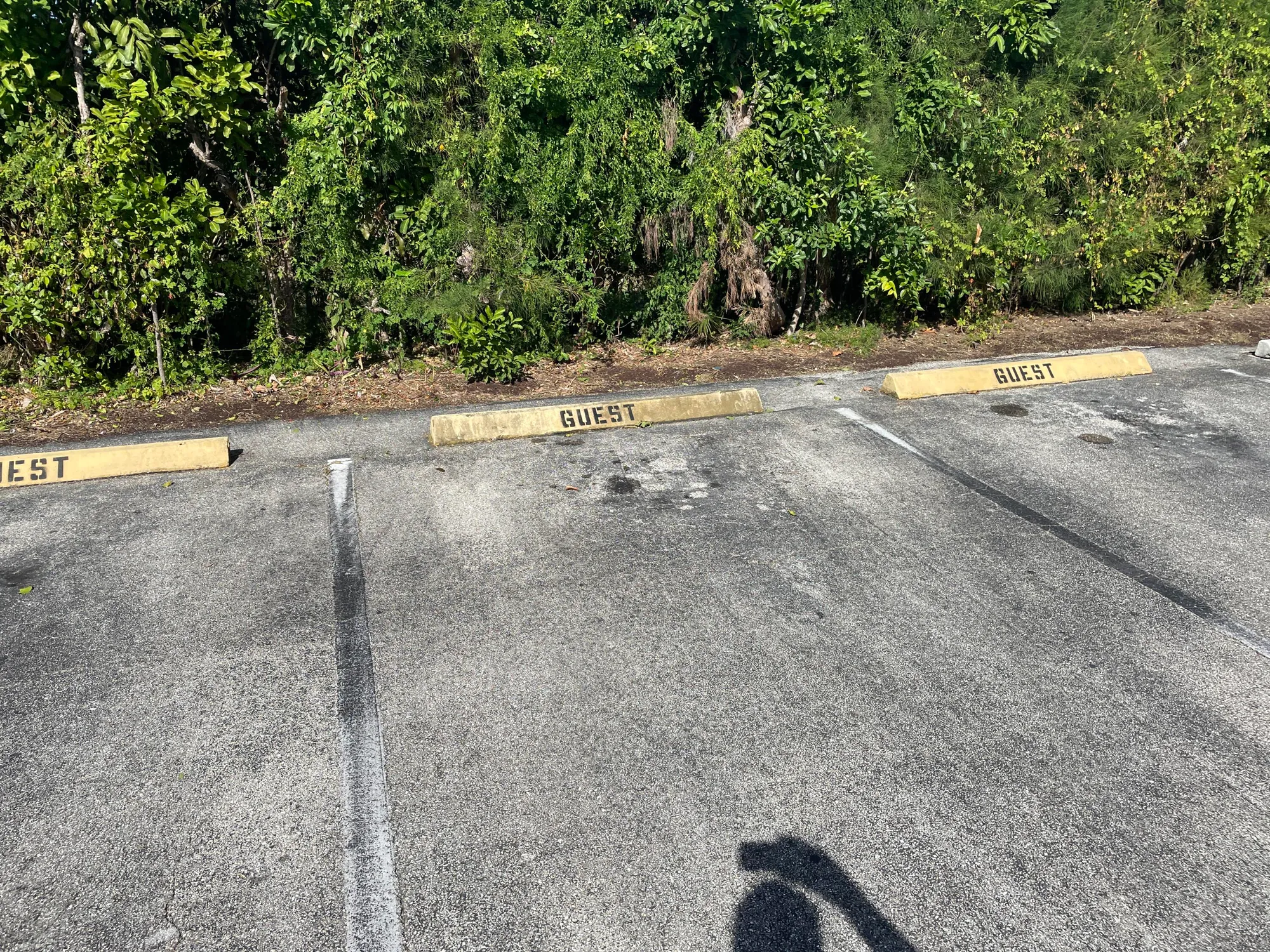 Property Slideshow image 42 of 42 | 3300 springdale blvd apt 201, Palm Springs, FL, 33461