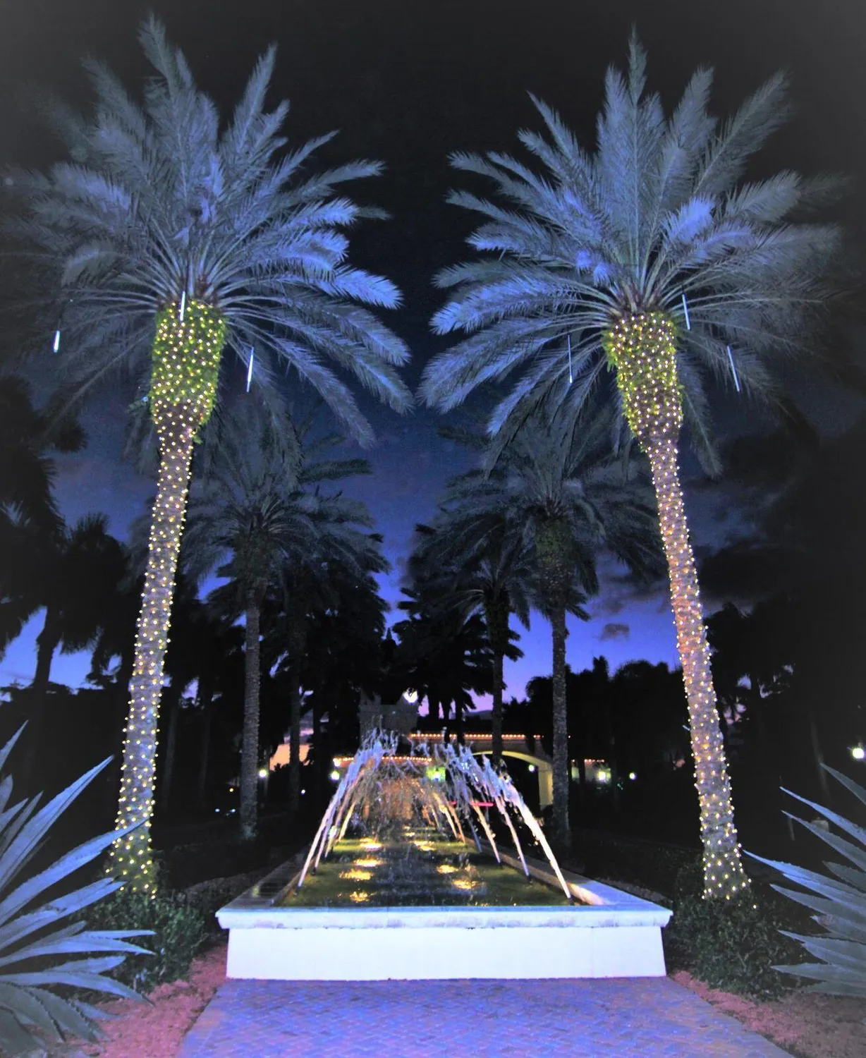 Property Slideshow image 53 of 53 | 6546 camarillo terrace ln, Delray Beach, FL, 33446