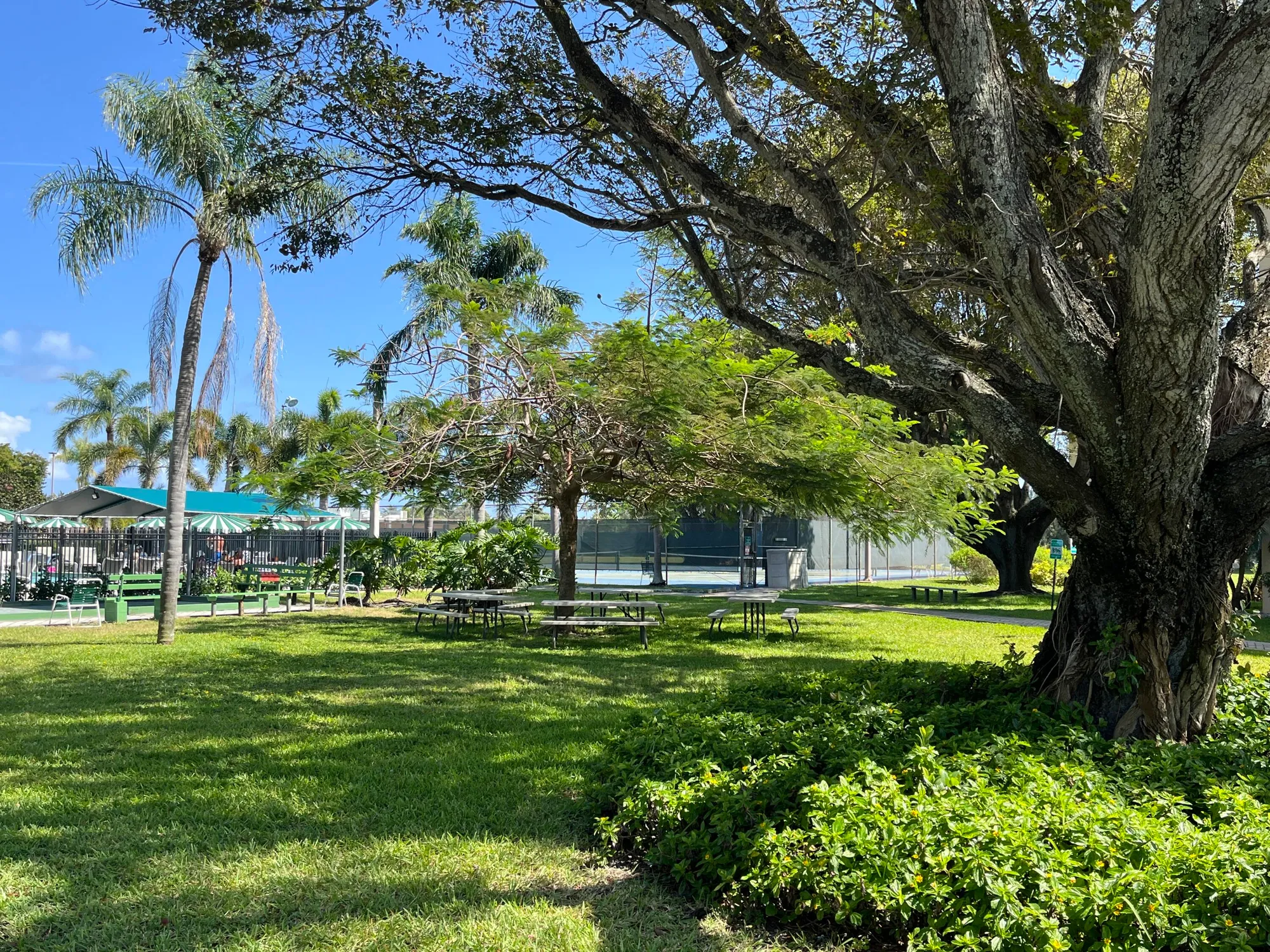 Property Slideshow image 31 of 33 | 330 ne 26th ave apt 406, Boynton Beach, FL, 33435