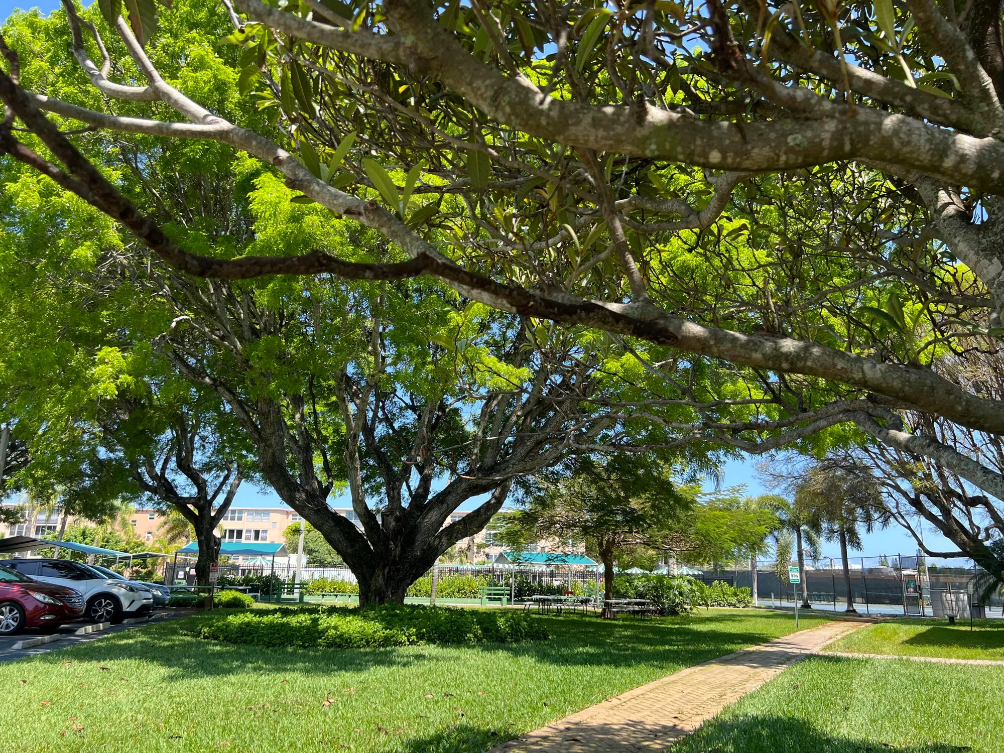 Property Slideshow image 41 of 45 | 230 ne 26th ave 2070, Boynton Beach, FL, 33435