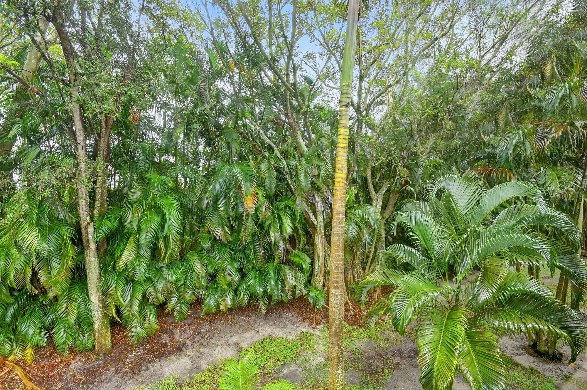 Property Slideshow image 41 of 81 | 7910 laina ln 3, Boynton Beach, FL, 33437