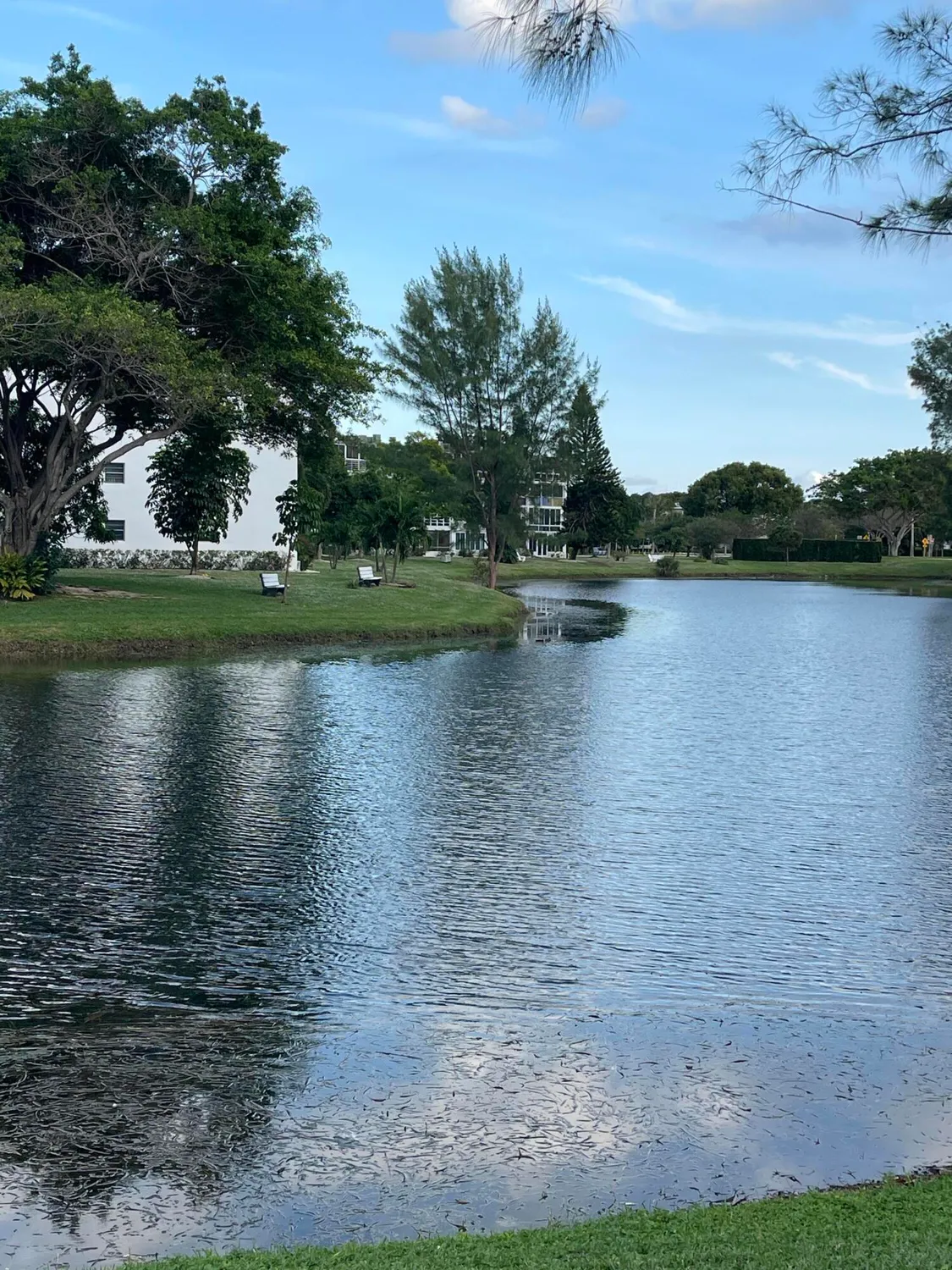 Property Slideshow image 1 of 87 | 4001 durham a # 4001, Deerfield Beach, FL, 33442