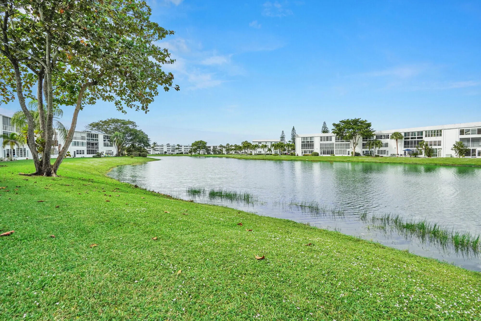 Property Slideshow image 10 of 10 | 310 wellington m # 310, West Palm Beach, FL, 33417