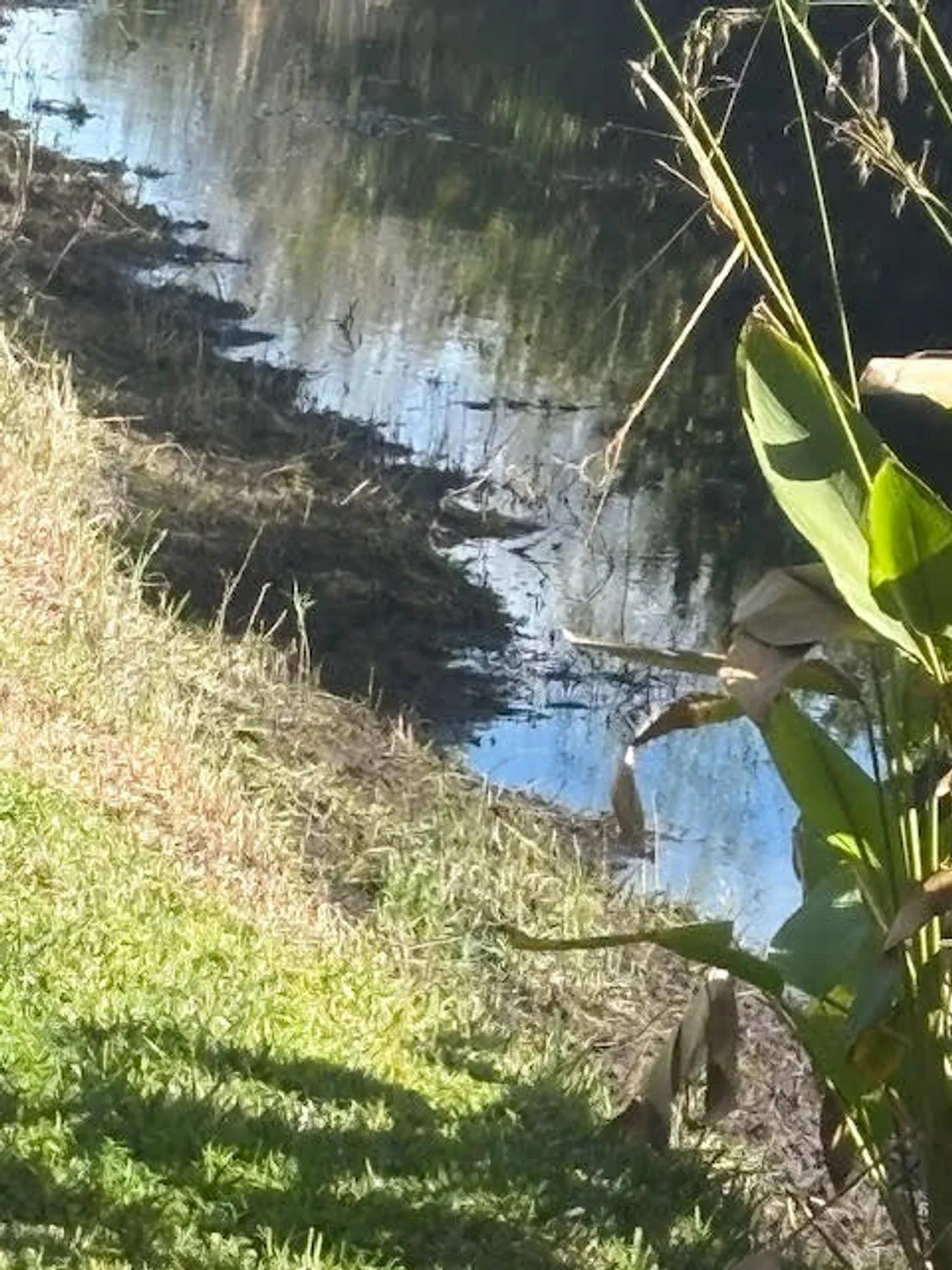 Property Slideshow image 73 of 110 | 1848 via castello, Wellington, FL, 33411