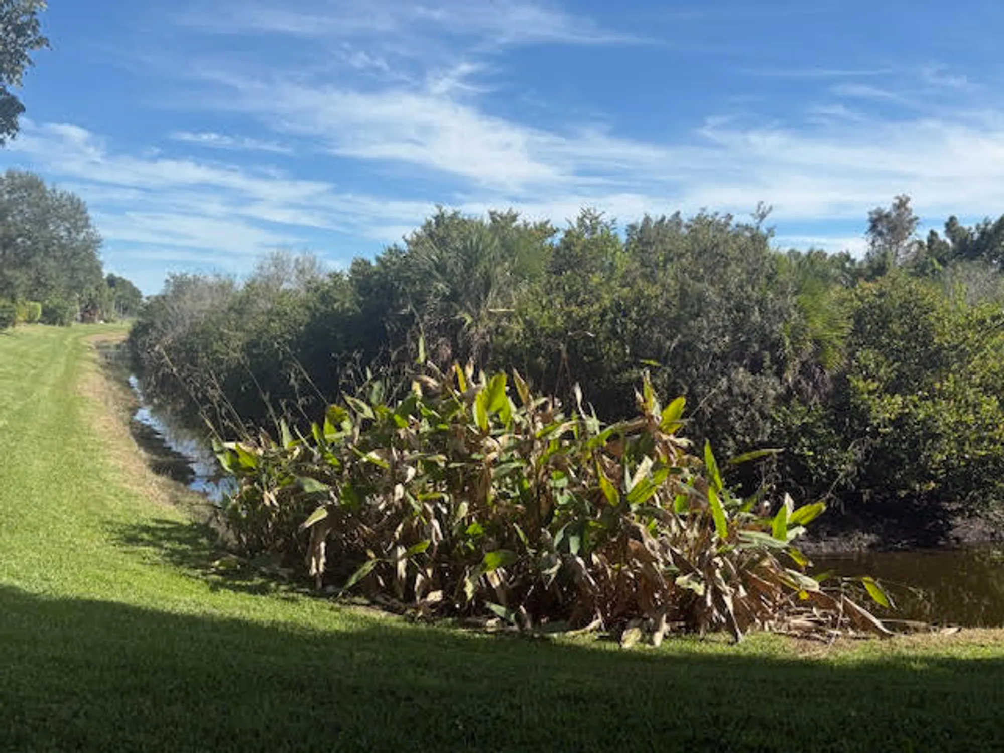 Property Slideshow image 65 of 110 | 1848 via castello, Wellington, FL, 33411