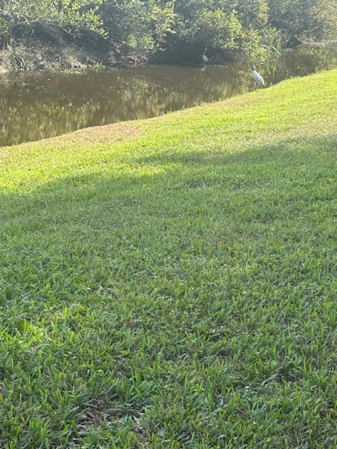 Property Slideshow image 71 of 110 | 1848 via castello, Wellington, FL, 33411