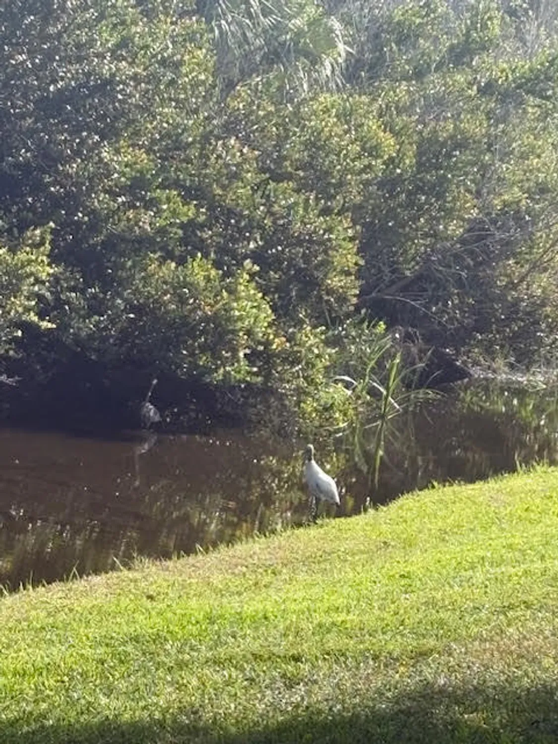 Property Slideshow image 72 of 110 | 1848 via castello, Wellington, FL, 33411