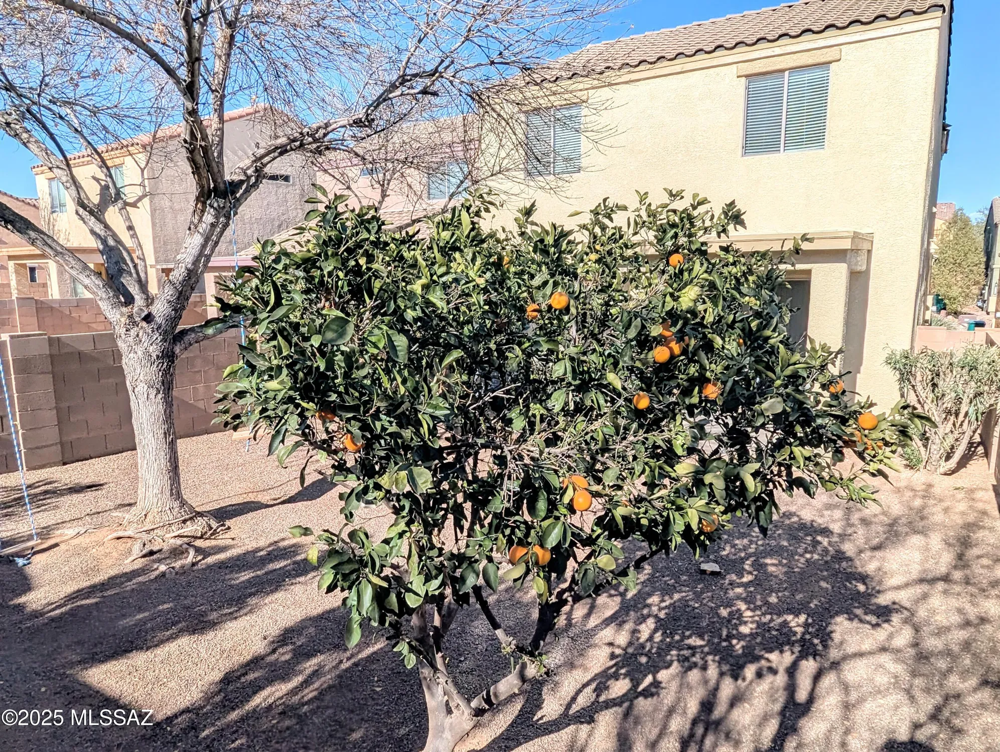 Property Slideshow image 33 of 40 | 14384 s camino vallado, Sahuarita, AZ, 85629