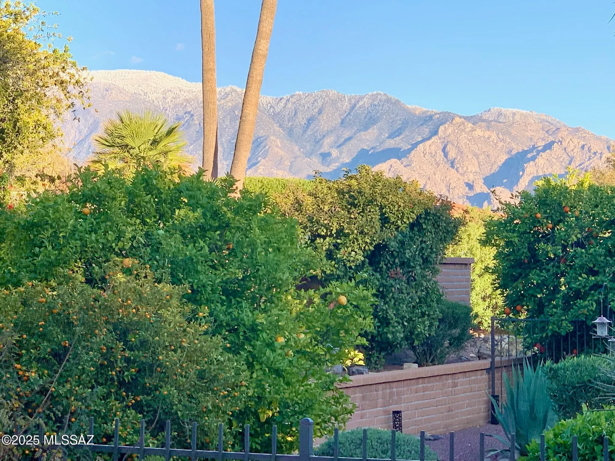 Property Slideshow image 44 of 45 | 14420 n del webb blvd, Oro Valley, AZ, 85755