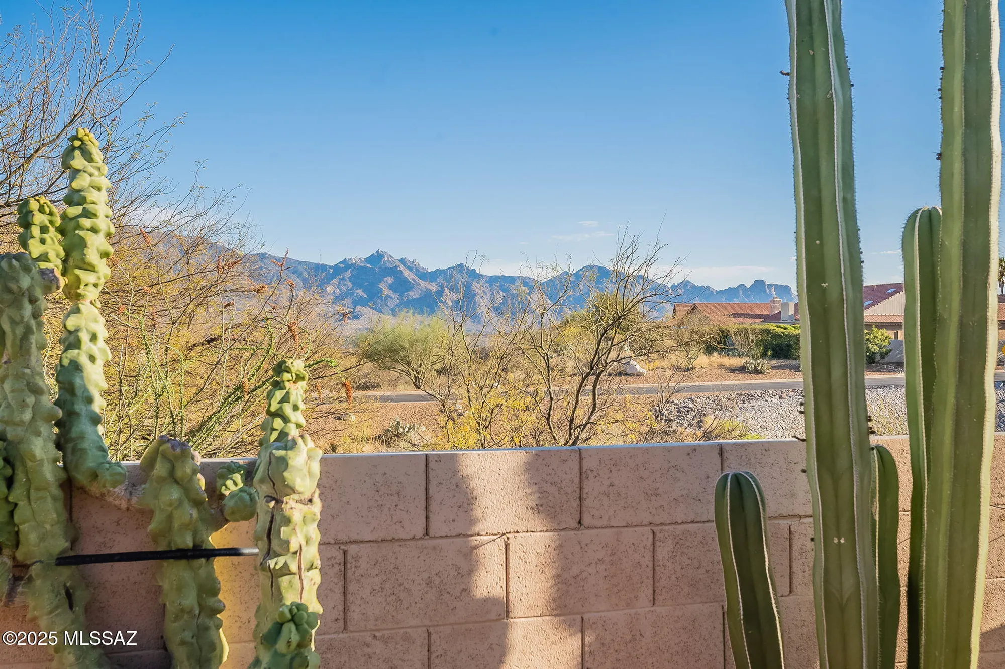 Property Slideshow image 44 of 46 | 38324 s silverwood dr, Tucson, AZ, 85739