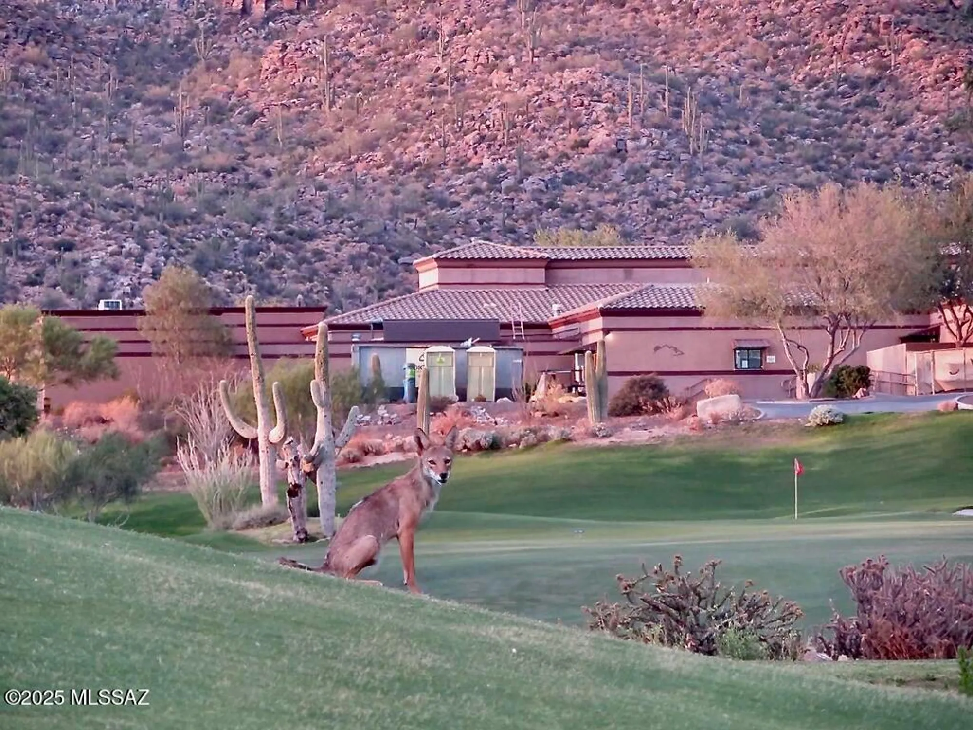 Property Slideshow image 48 of 48 | 13607 n sunset mesa dr, Marana, AZ, 85658