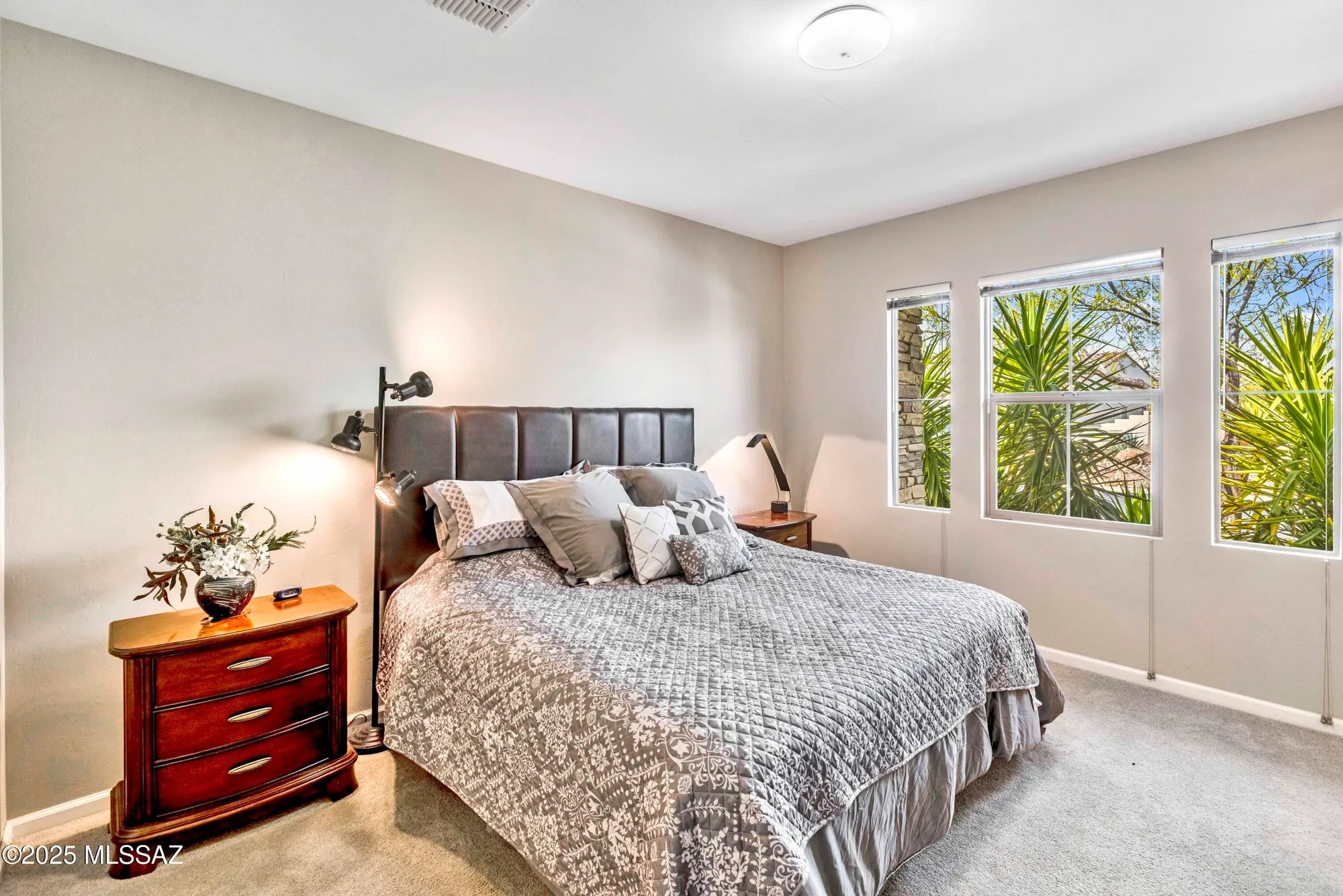 Property Slideshow image 27 of 49 | 31547 s misty basin rd, Oracle, AZ, 85623