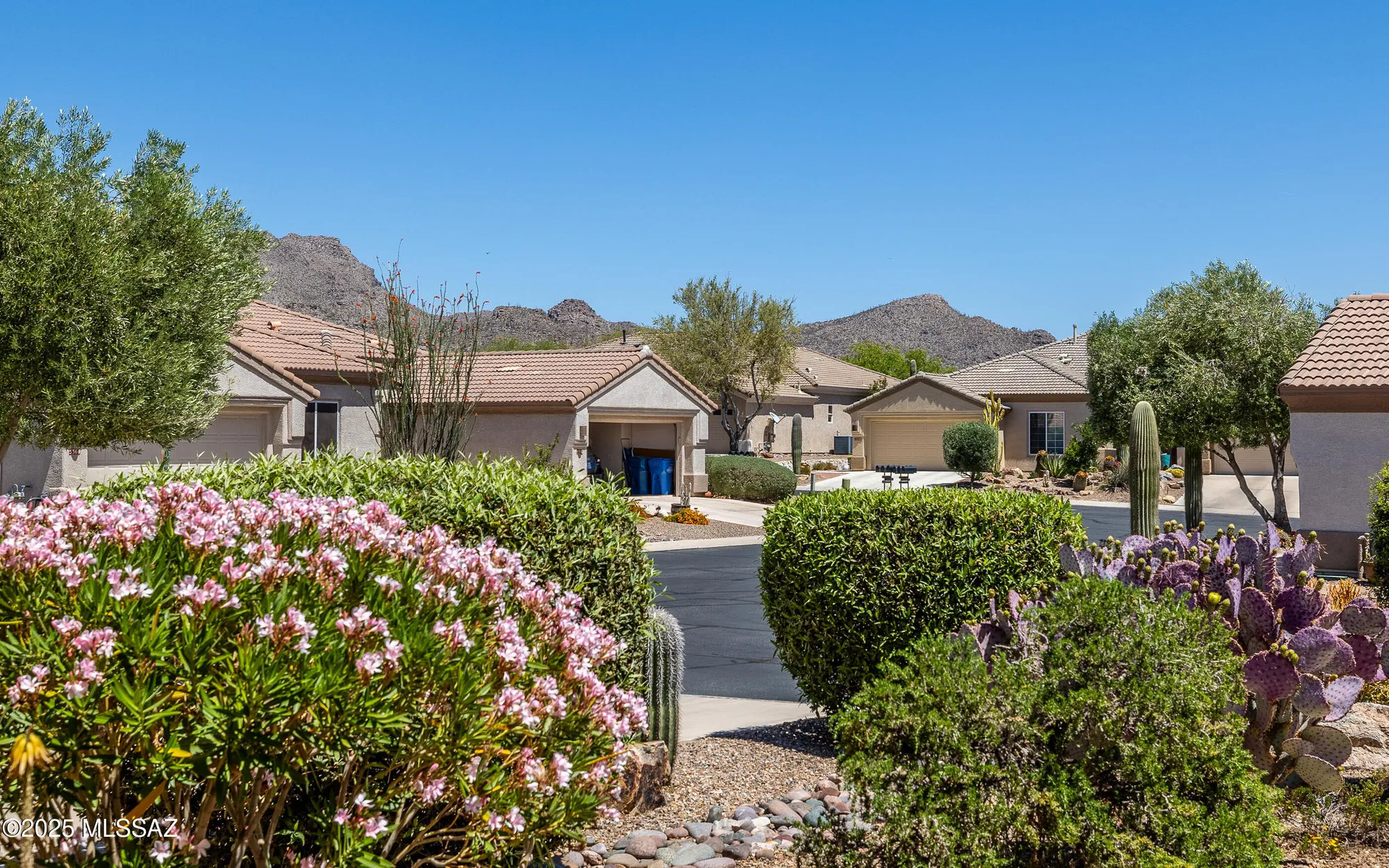 Property Slideshow image 3 of 40 | 5379 w tearblanket pl, Marana, AZ, 85658