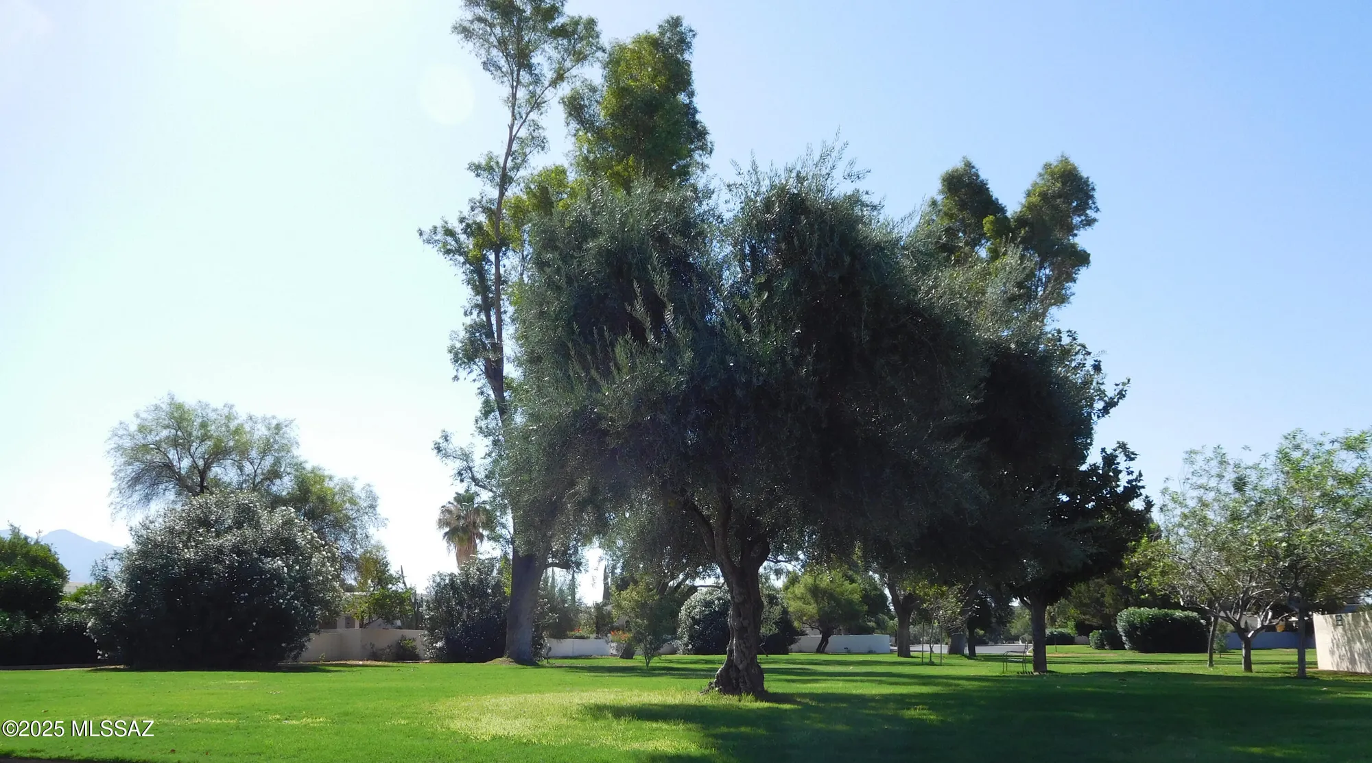 Property Slideshow image 43 of 52 | 7912 n casas cameo, Tucson, AZ, 85742