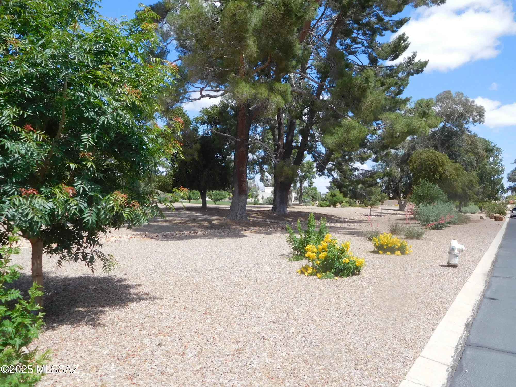 Property Slideshow image 41 of 52 | 7912 n casas cameo, Tucson, AZ, 85742