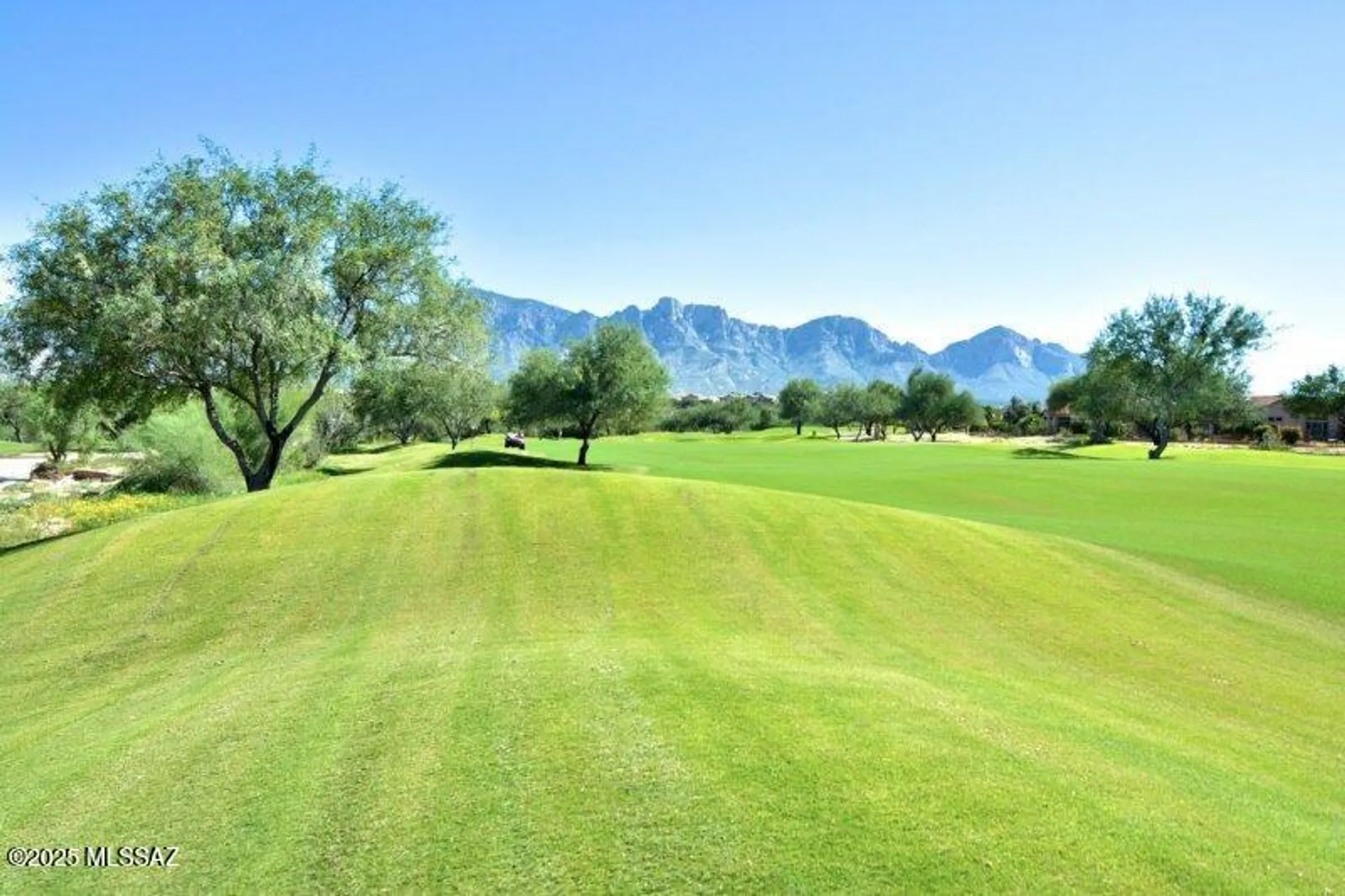 Property Slideshow image 39 of 50 | 1013 e coachwood dr, Oro Valley, AZ, 85755