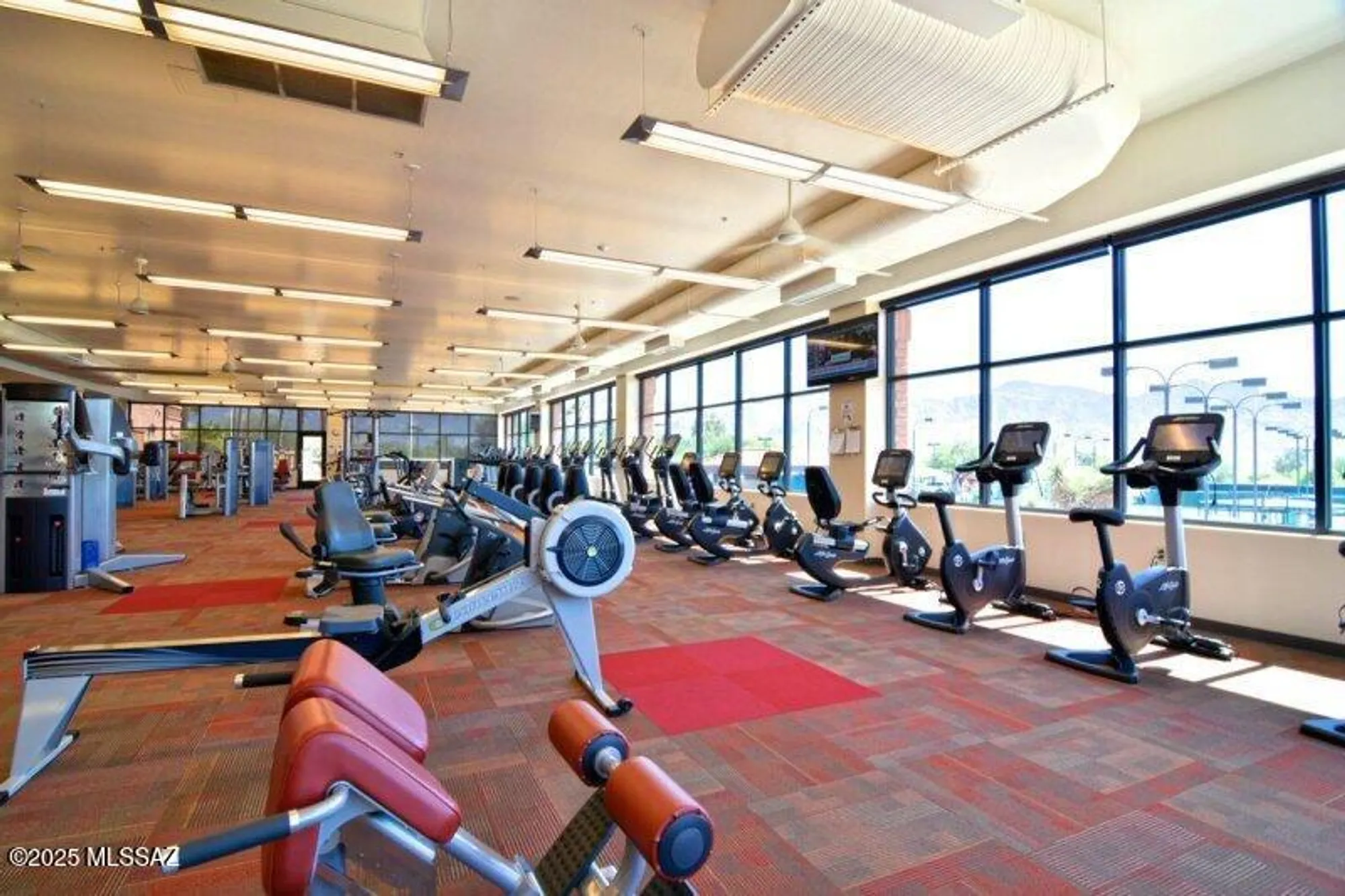 Property Slideshow image 46 of 50 | 1013 e coachwood dr, Oro Valley, AZ, 85755