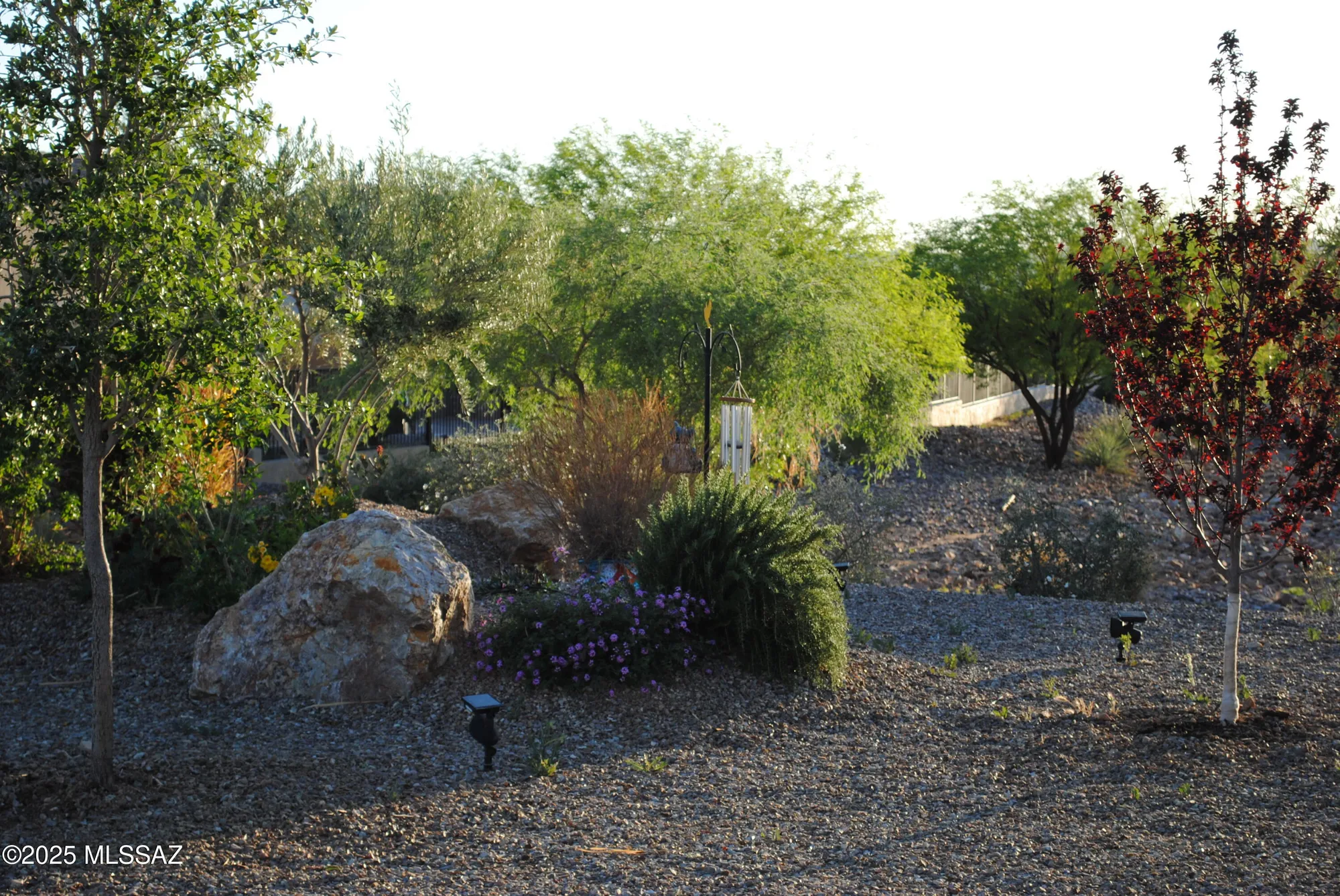 Property Slideshow image 46 of 50 | 61663 e talc st, Oracle, AZ, 85623