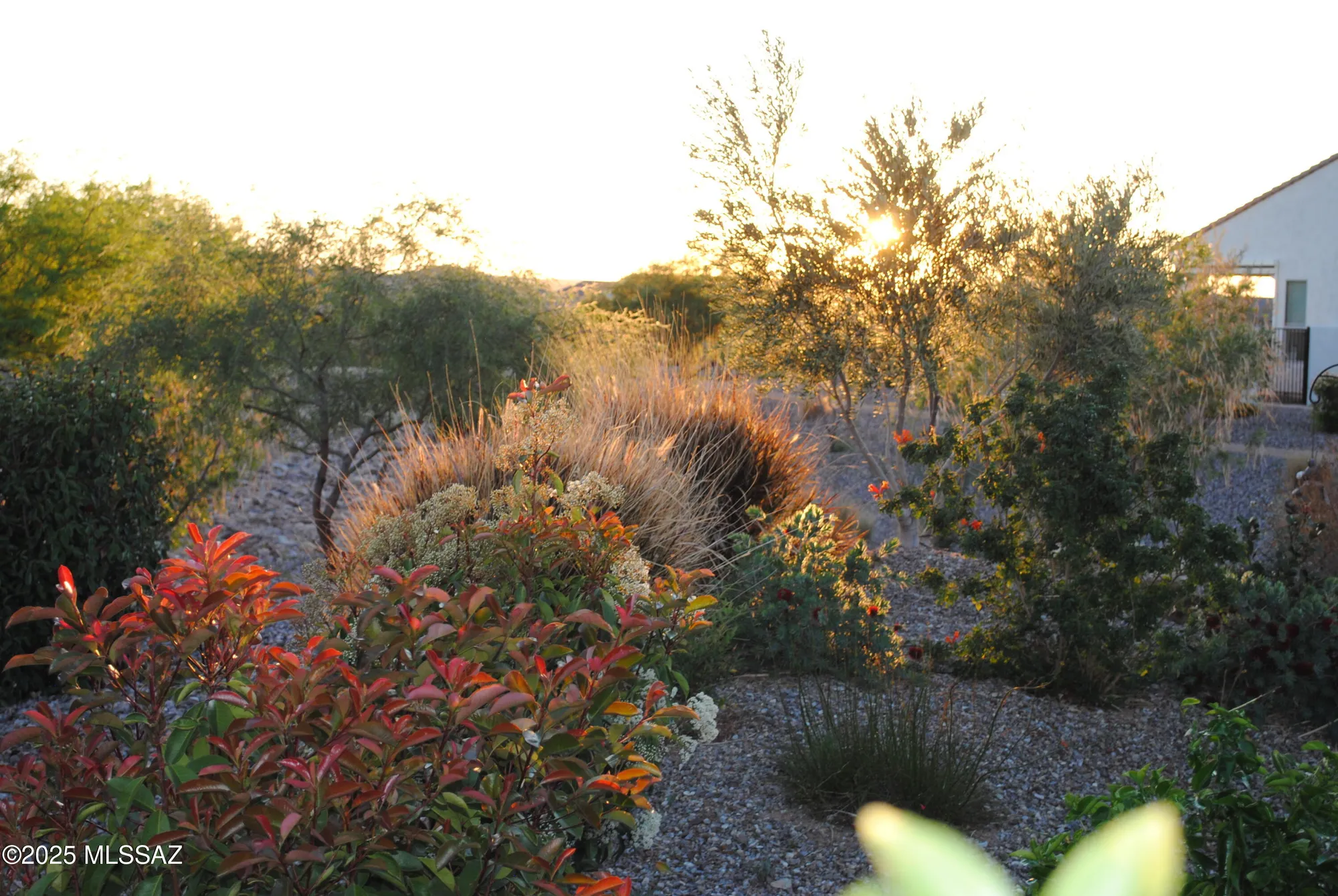 Property Slideshow image 50 of 50 | 61663 e talc st, Oracle, AZ, 85623