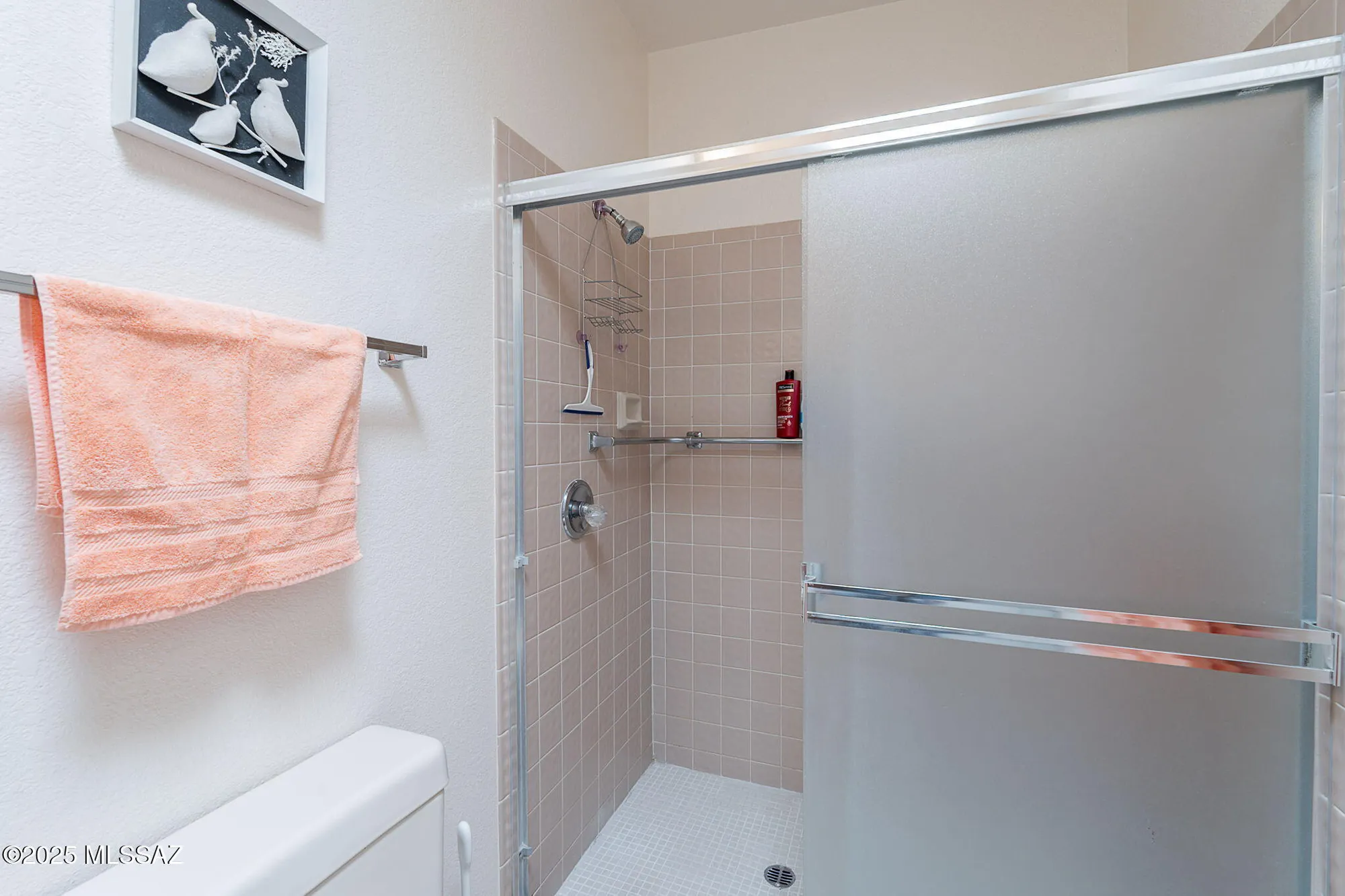 Property Slideshow image 21 of 35 | 3055 s placita de la picaza, Green Valley, AZ, 85622