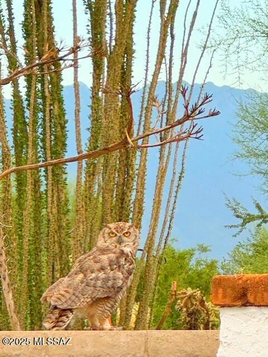 Property Slideshow image 22 of 22 | 611 s los opalos, Green Valley, AZ, 85614