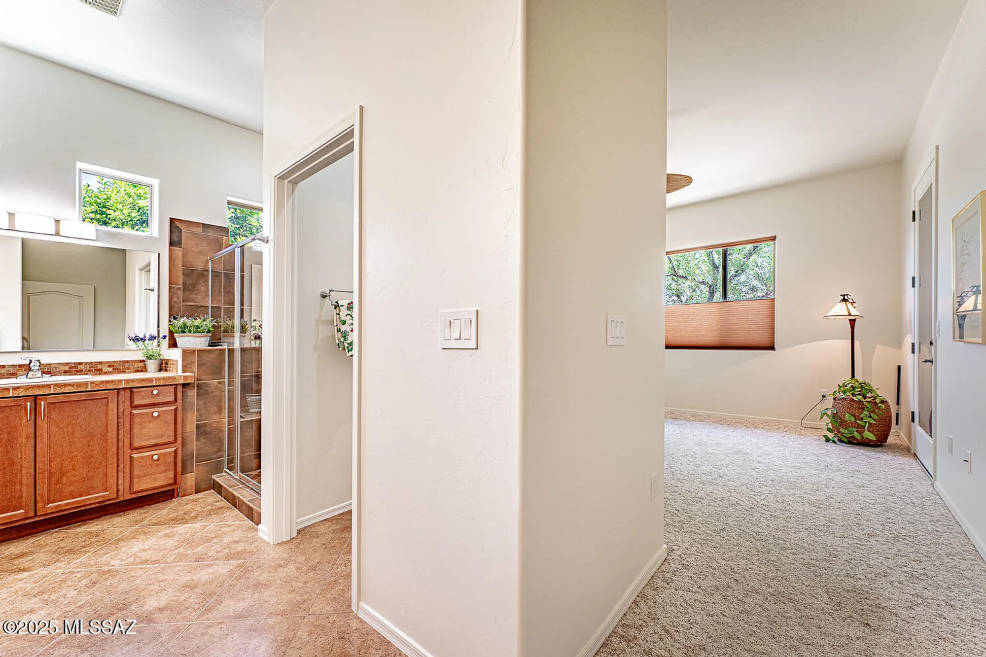 Property Slideshow image 22 of 48 | 2499 w bassett peak dr, Green Valley, AZ, 85622