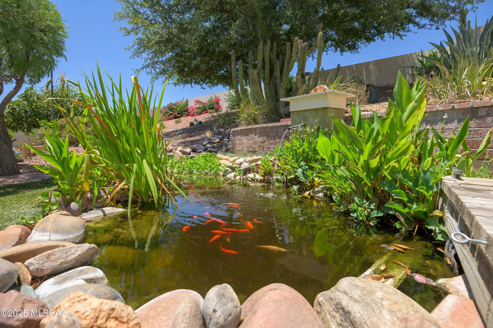 Property Slideshow image 37 of 49 | 64304 e round robin ln, Saddlebrooke, AZ, 85739