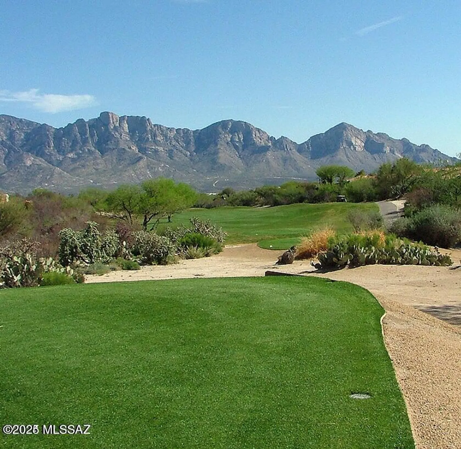 Property Slideshow image 45 of 51 | 858 e crown ridge dr, Oro Valley, AZ, 85755