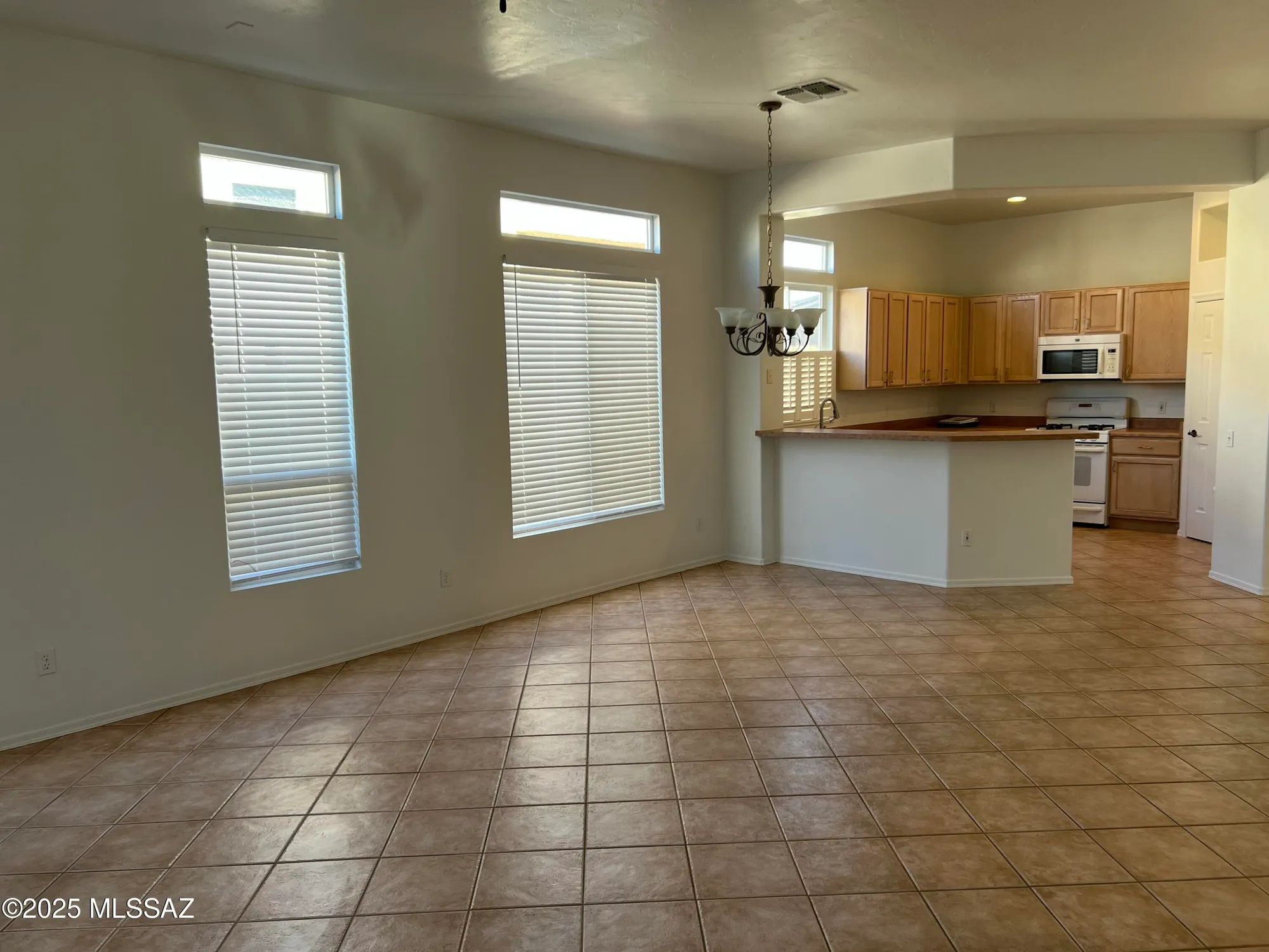Property Slideshow image 10 of 36 | 13009 n desert flora ln, Marana, AZ, 85658