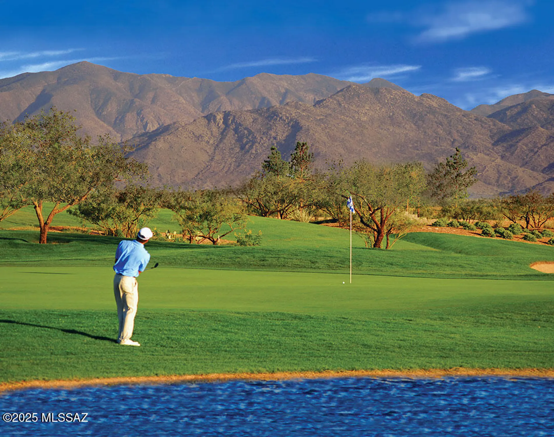 Property Slideshow image 44 of 50 | 61820 e happy jack trl, Oracle, AZ, 85623