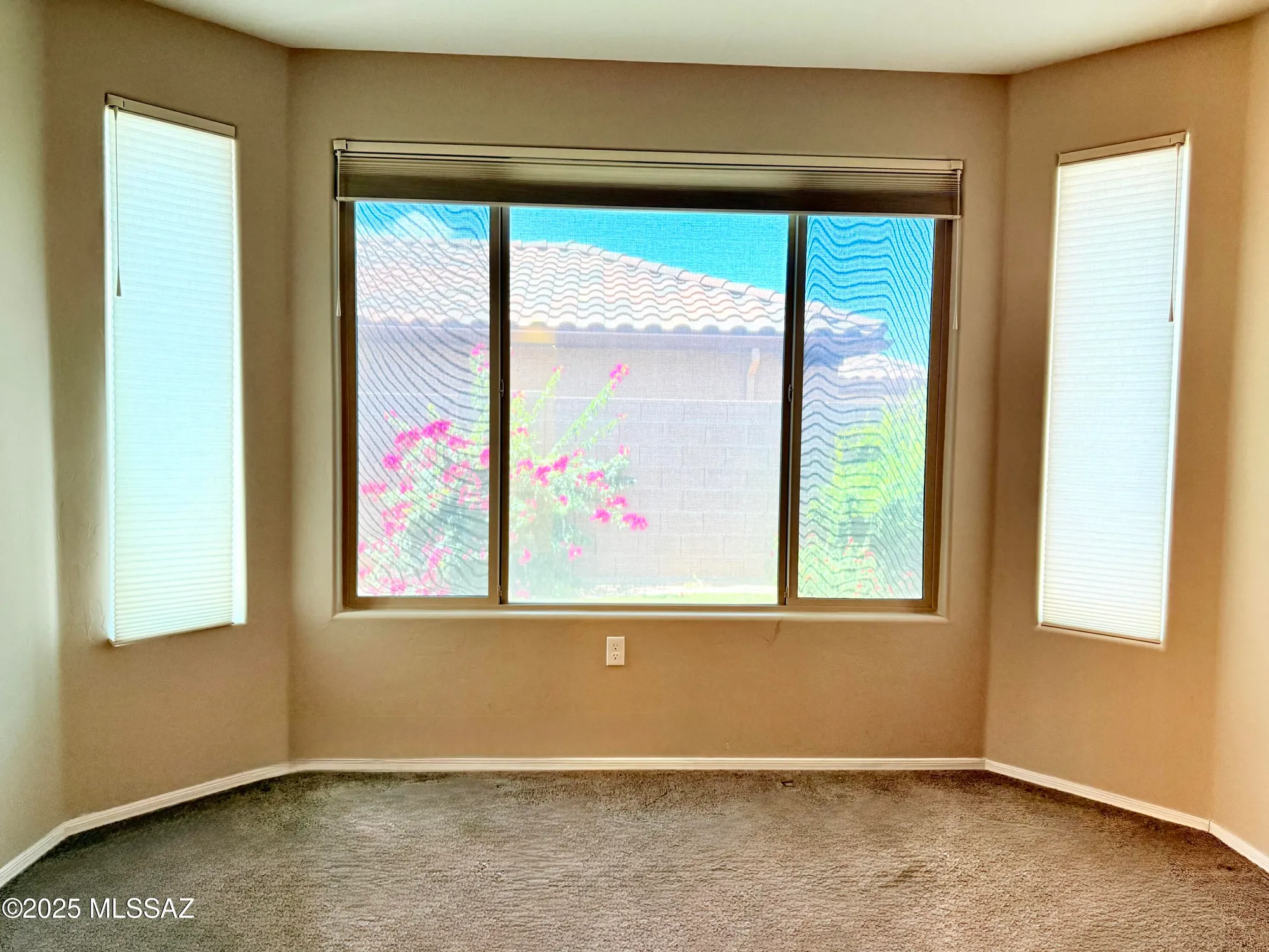 Property Slideshow image 18 of 42 | 13834 e cardemore dr, Vail, AZ, 85641