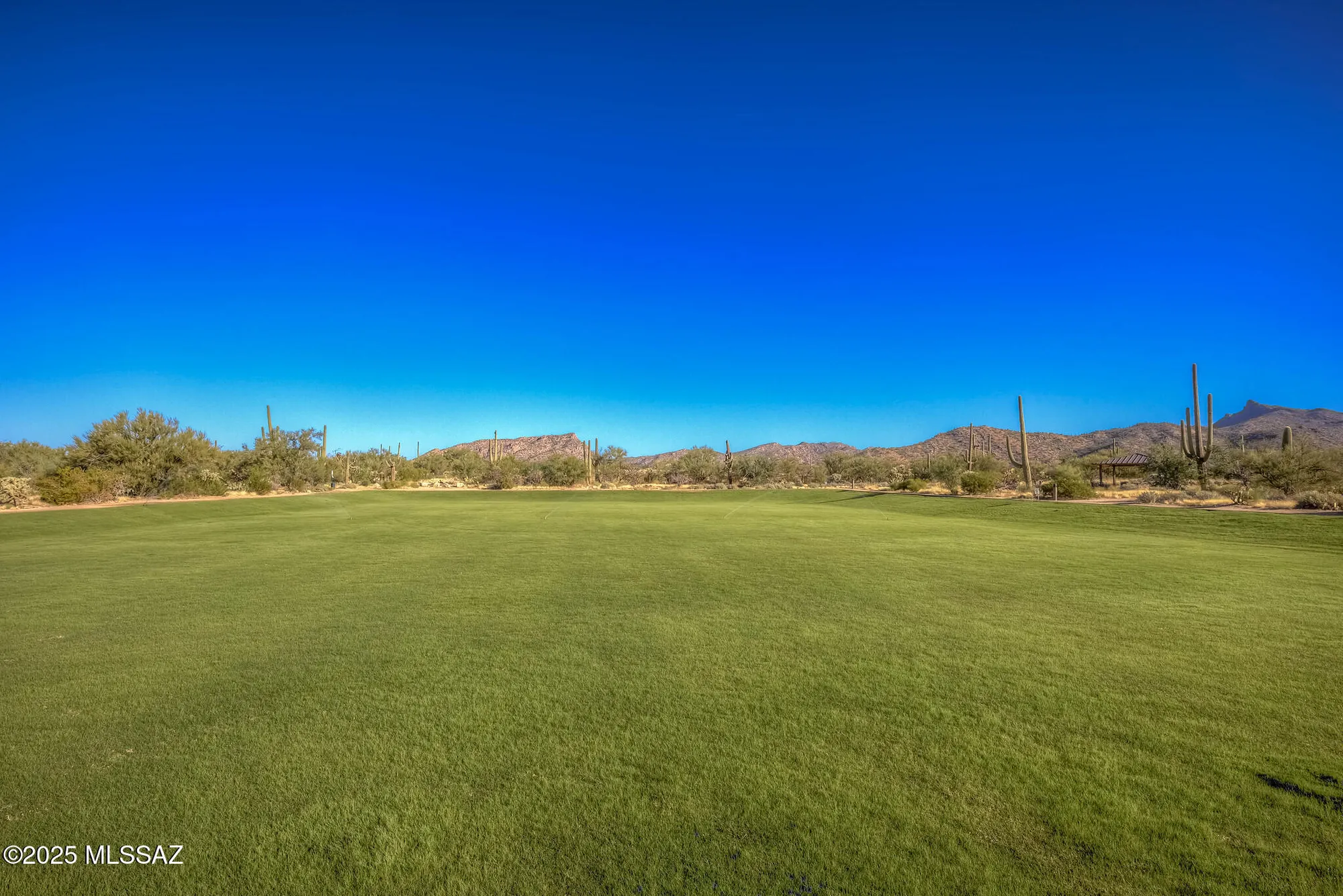 Property Slideshow image 31 of 31 | 14082 n del webb trl, Marana, AZ, 85658