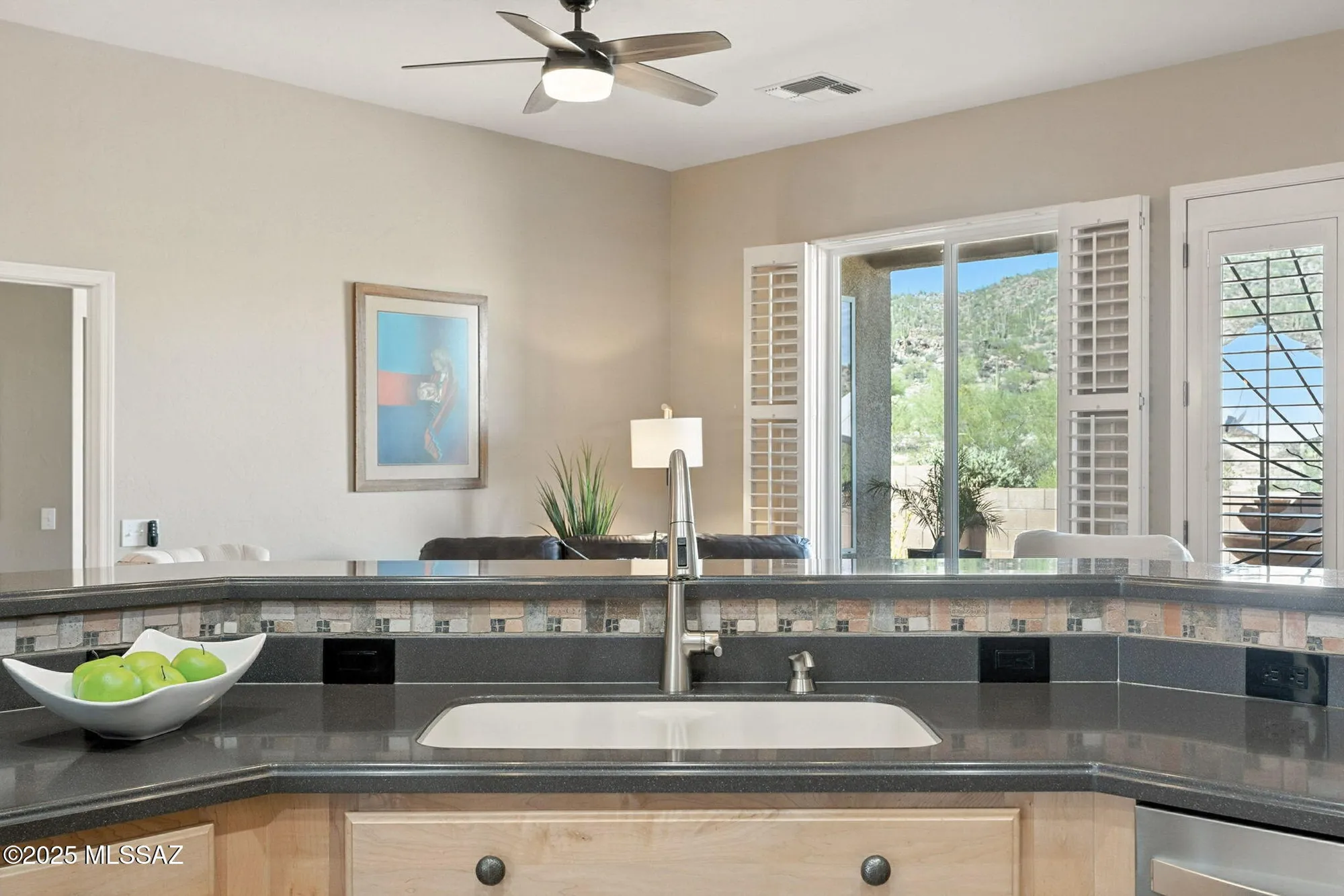 Property Slideshow image 24 of 47 | 13634 n holly grape dr, Marana, AZ, 85658