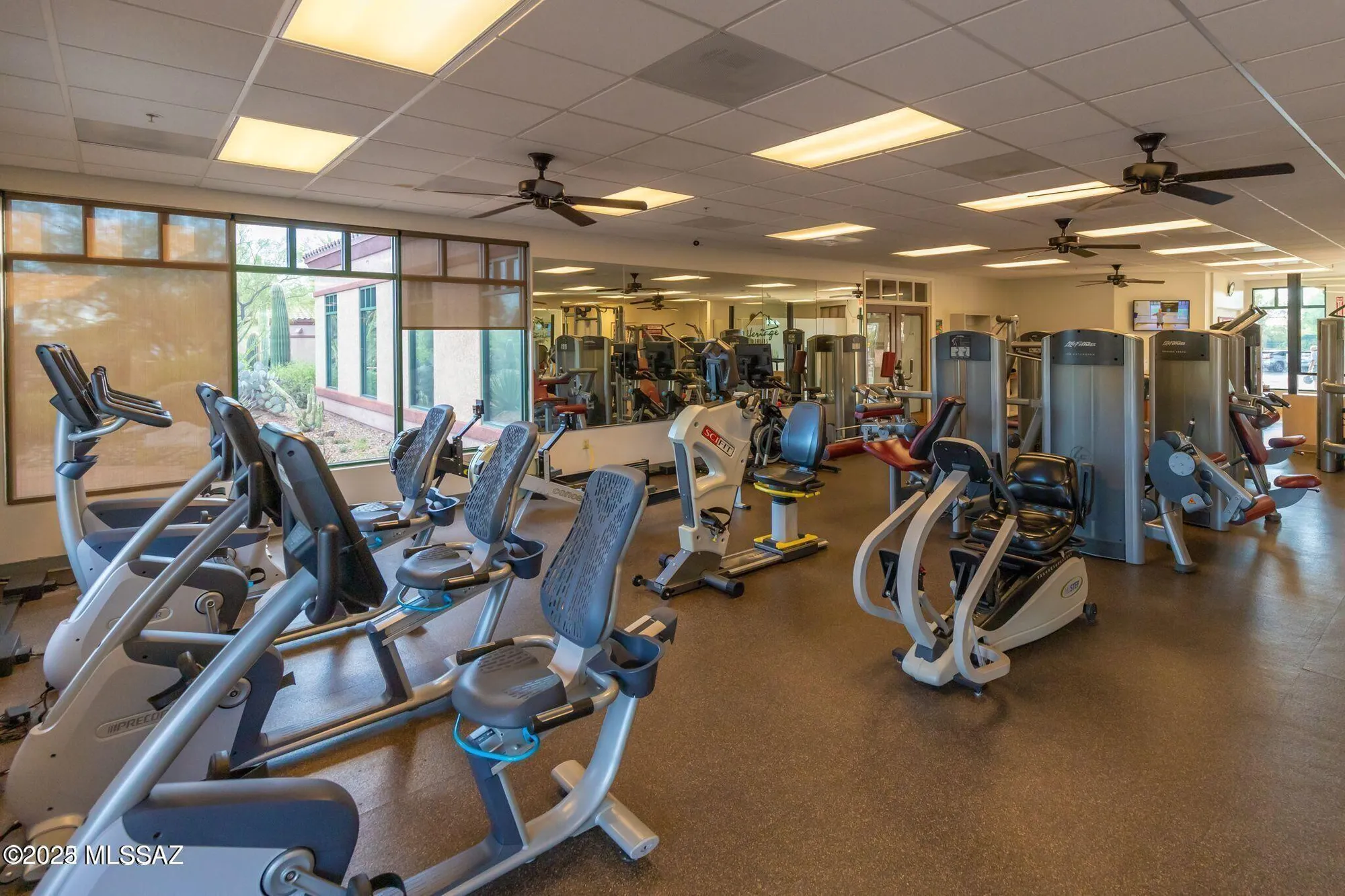 Property Slideshow image 46 of 48 | 5371 w leatherflower ln, Marana, AZ, 85658