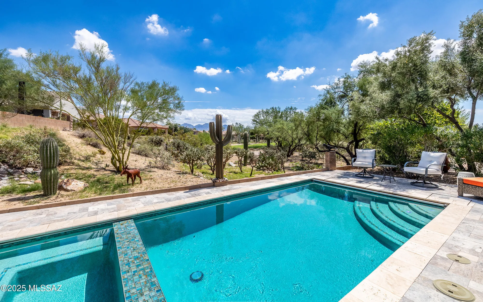 Property Slideshow image 25 of 46 | 13184 n desert flora ln, Marana, AZ, 85658