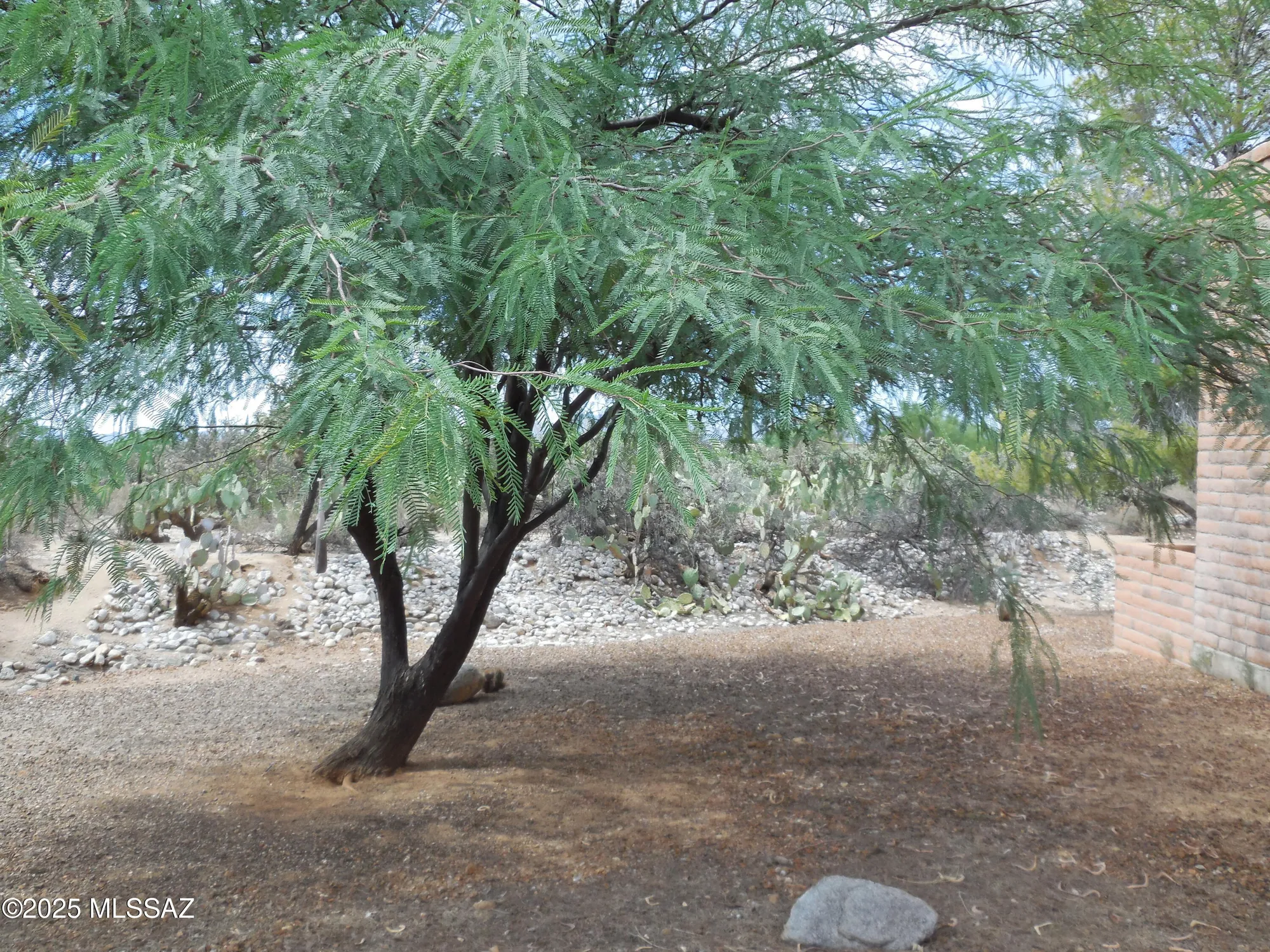 Property Slideshow image 2 of 25 | 1692 w dalehaven cir, Tucson, AZ, 85704